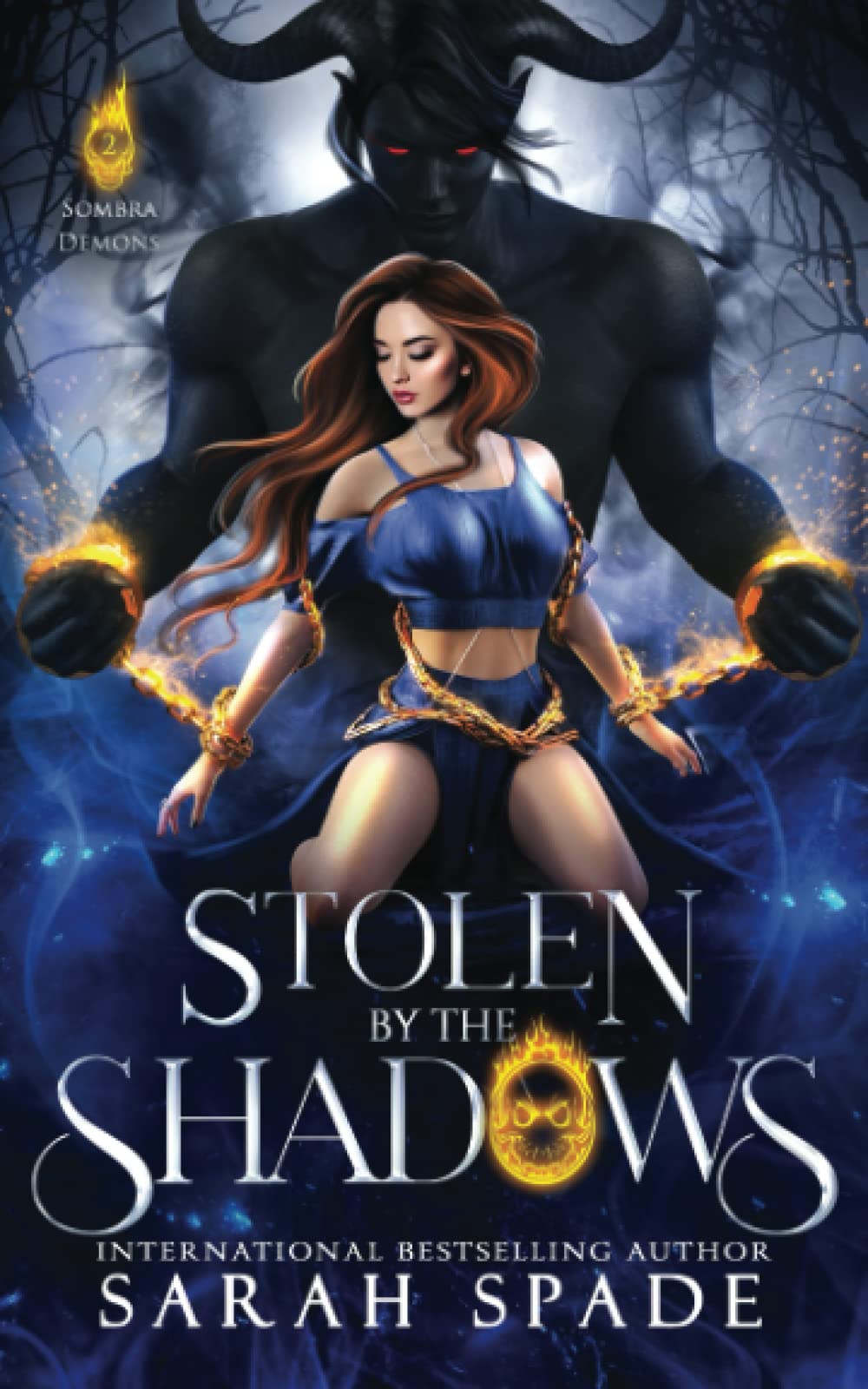 Cover of Stolen by the Shadows
