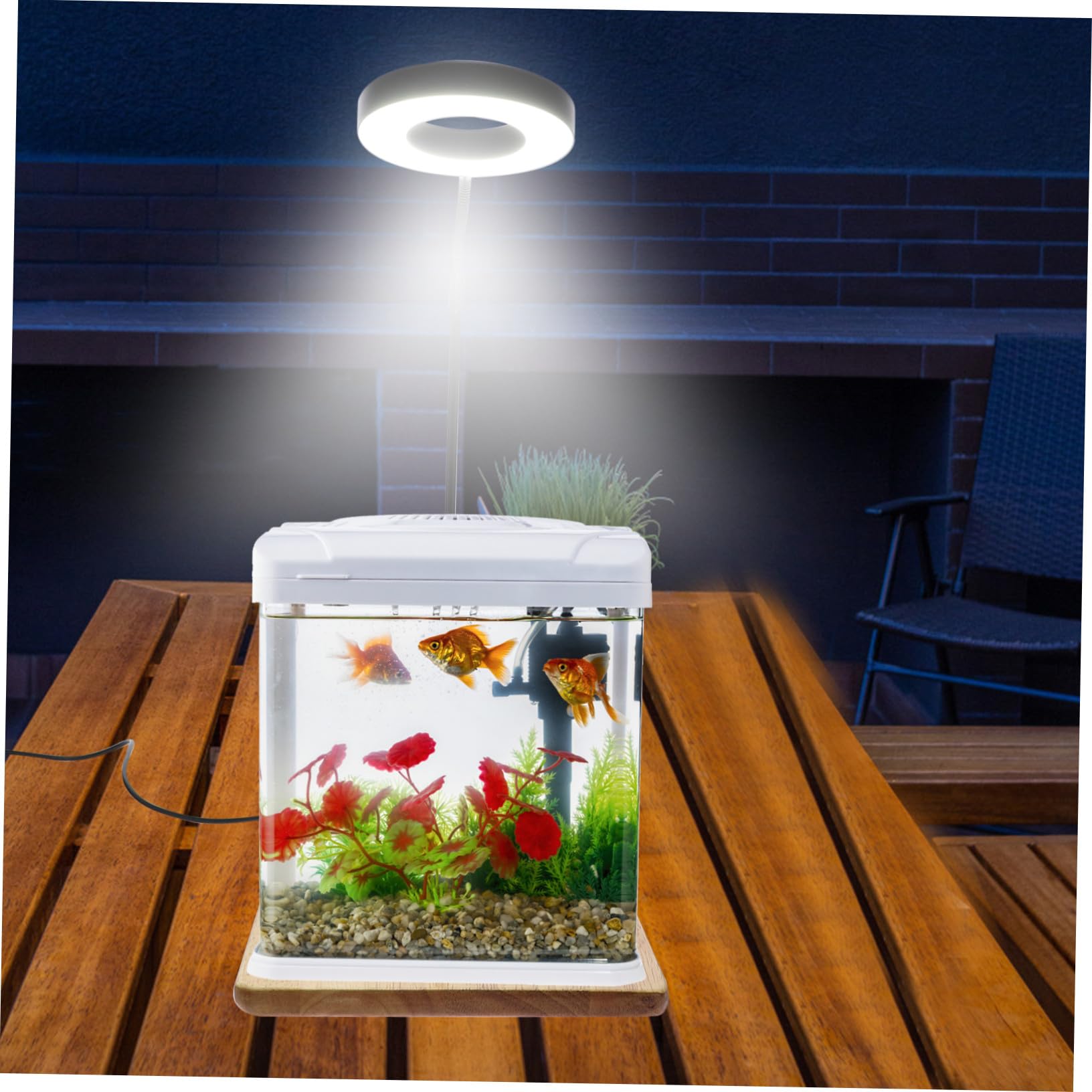 Luz LED para Acuario y Pecera, Iluminación Acuática Interruptor