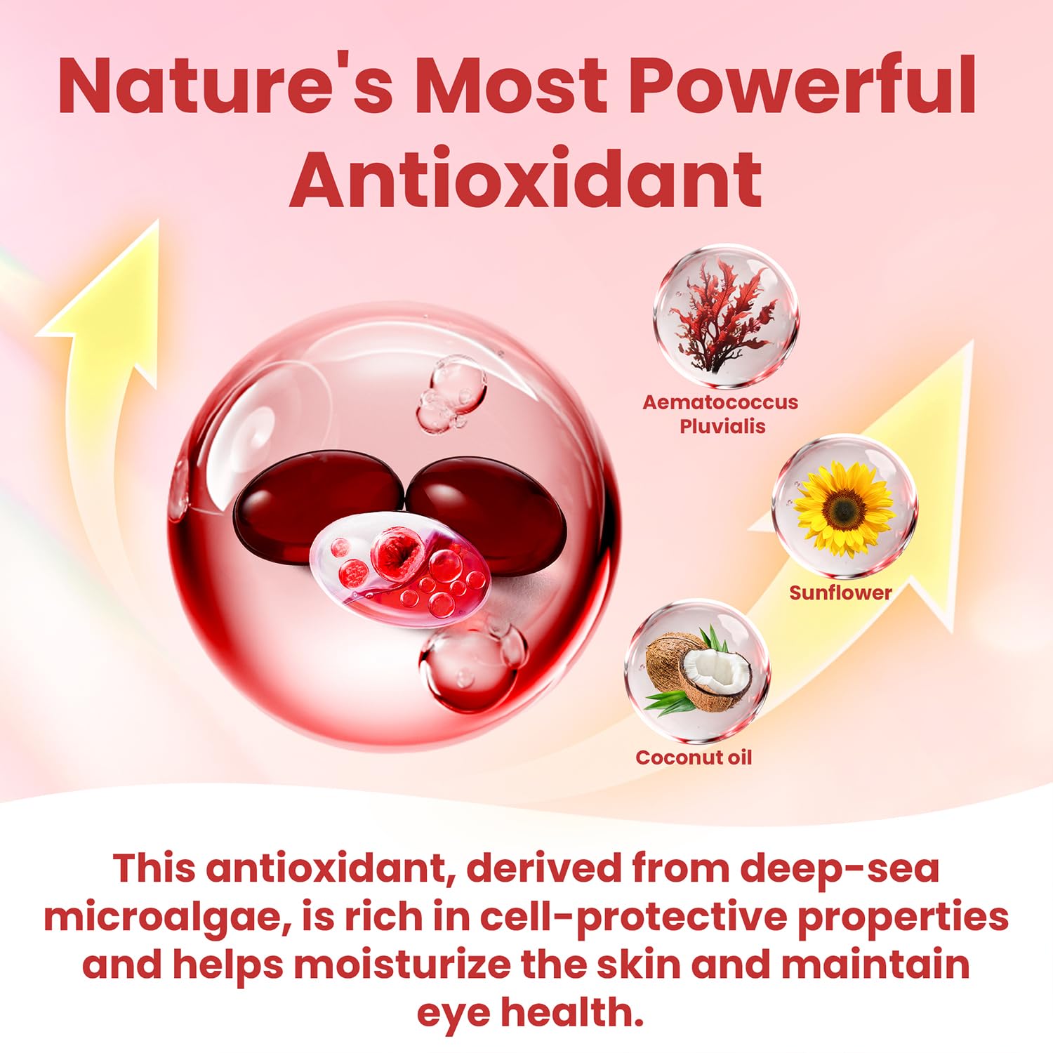 Premium Astaxanthin 12mg Supplements - Natural Microalgae Antioxidant for Skin, Eye & Immune Health - Non-GMO, Triple Strength, 120 Softgels (4 Month Supply) — Amazon image 5