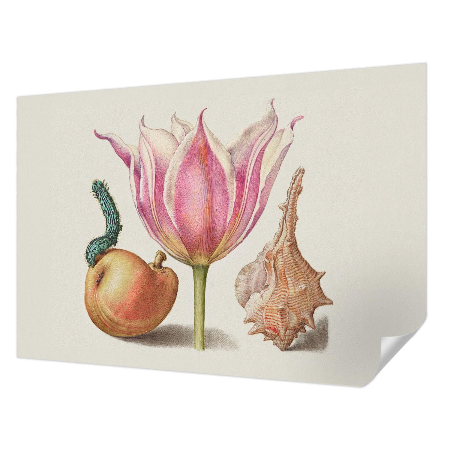 Papel pintado Tulup fotográfico vintage, decoración de pared premium autoadhesiva de 152x104 cm