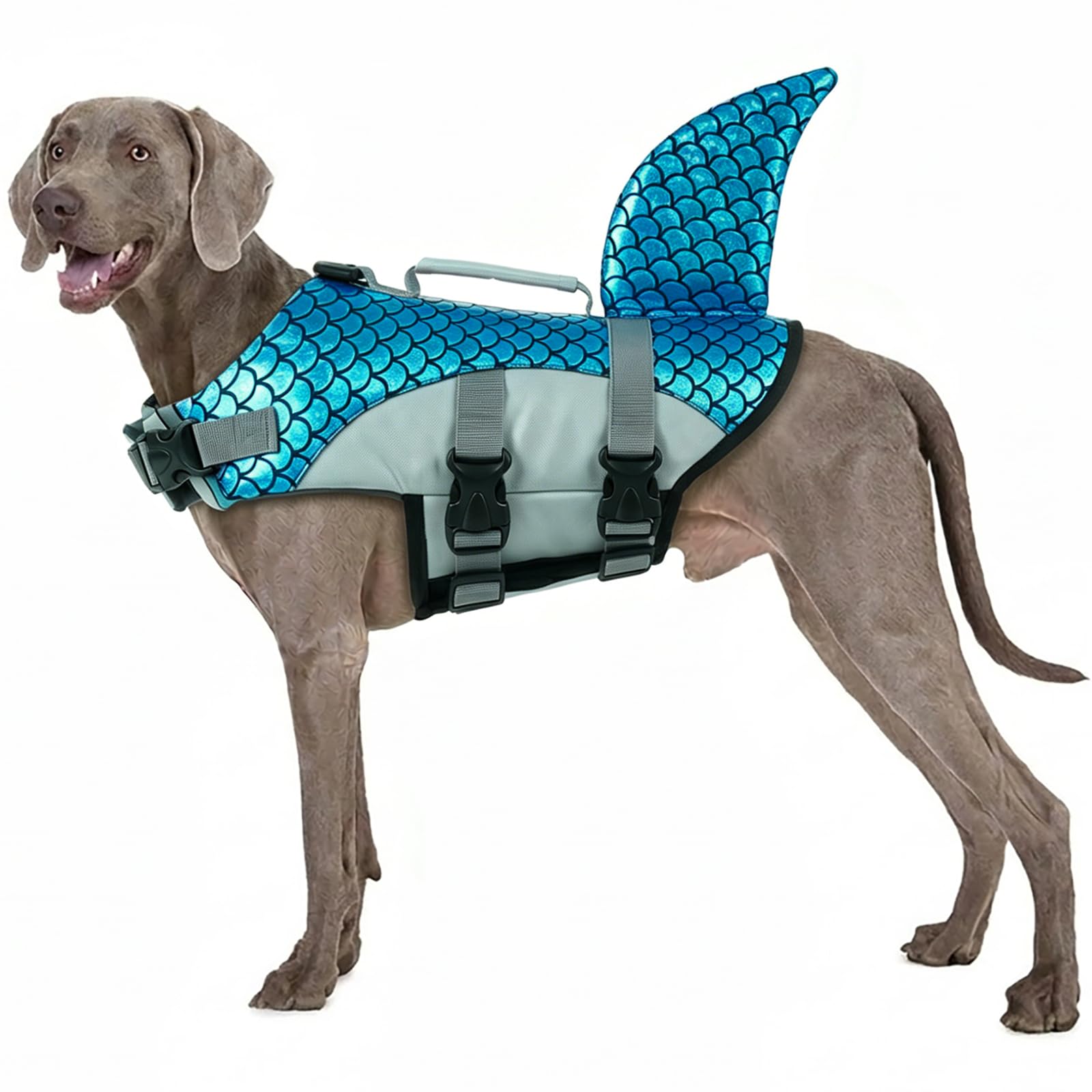 Schwimmweste Hunde Hai, Hundeweste Schwimmen Leicht Sicher Für Wassersport, Hundeschwimmweste Hunde Jacket Mit Griff, Sorgt Für Sicherheit Und Komfort Ihres Haustiers Beim Schwimmen(Blau, L)