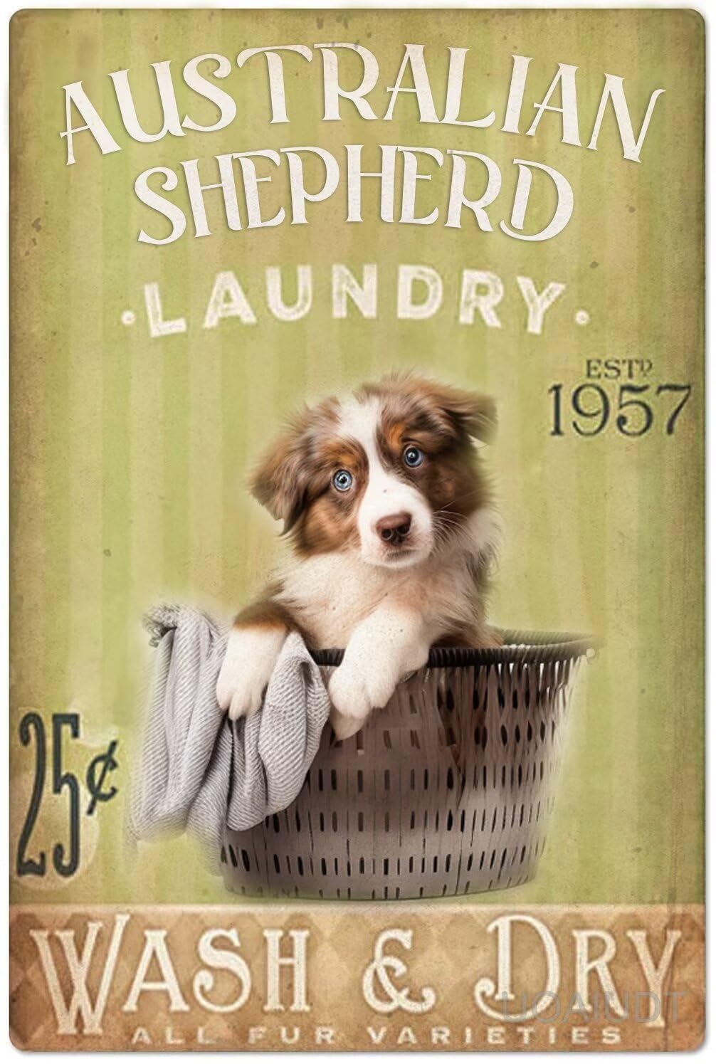 Anceky Laundry Sign Australian Shepherd Diamond Art Kits for Adults,5D Painting Art Kits Laundry Decor Dog Laundry Diamond Art Painting Kit for Adult Beginner for Home Wall Decor 12X16 Inch