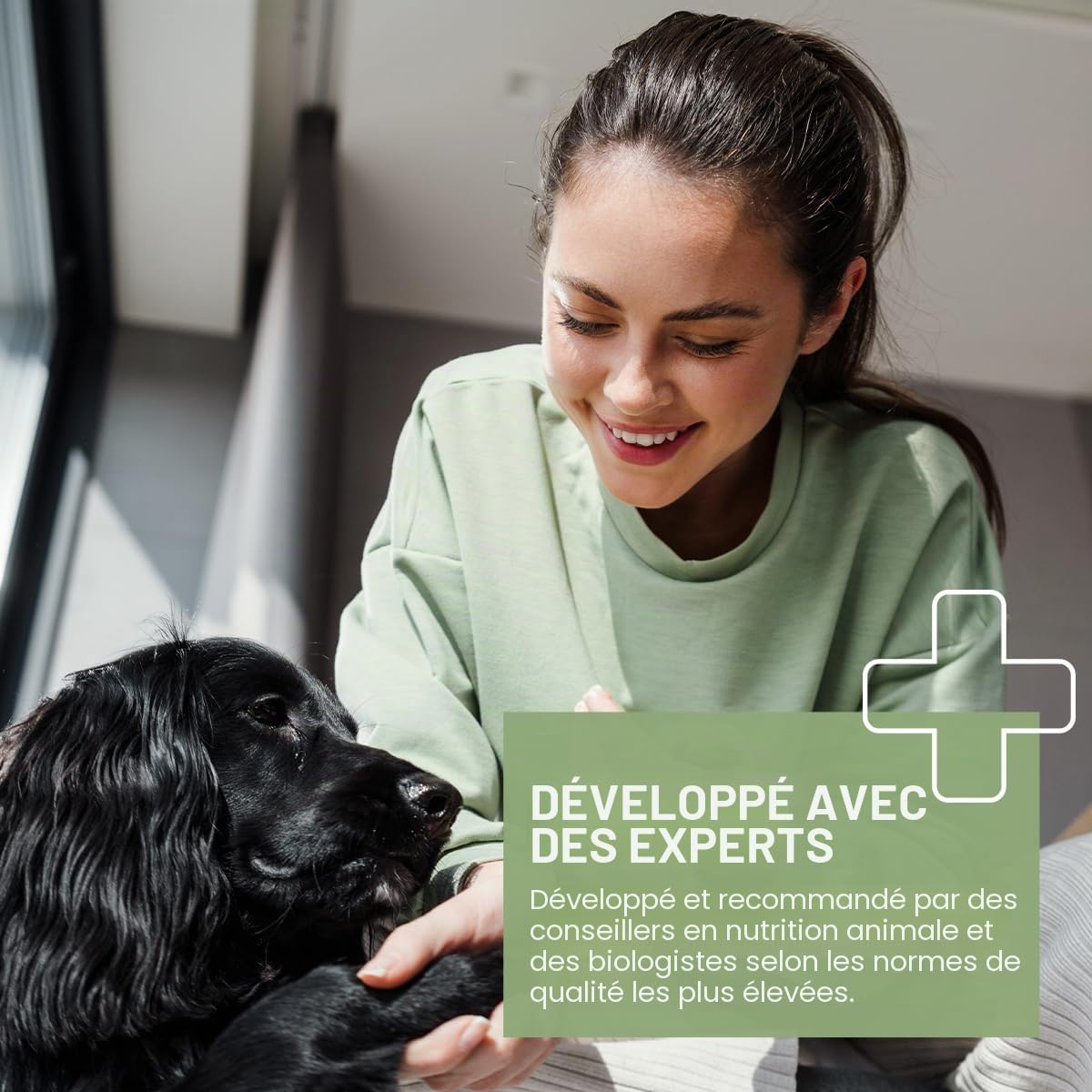 ReaVET Extrait de moule aux vertes orles en poudre 1 kg pour chiens et chevaux - Poudre de moule verte pour chien, hautement dosé après arthrose traitée, arthrite