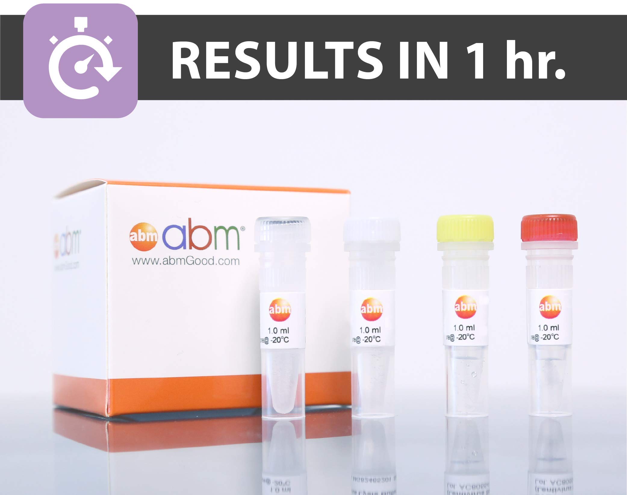 Buy LV900 qPCR Lentivirus Titration Kit Online at desertcartINDIA