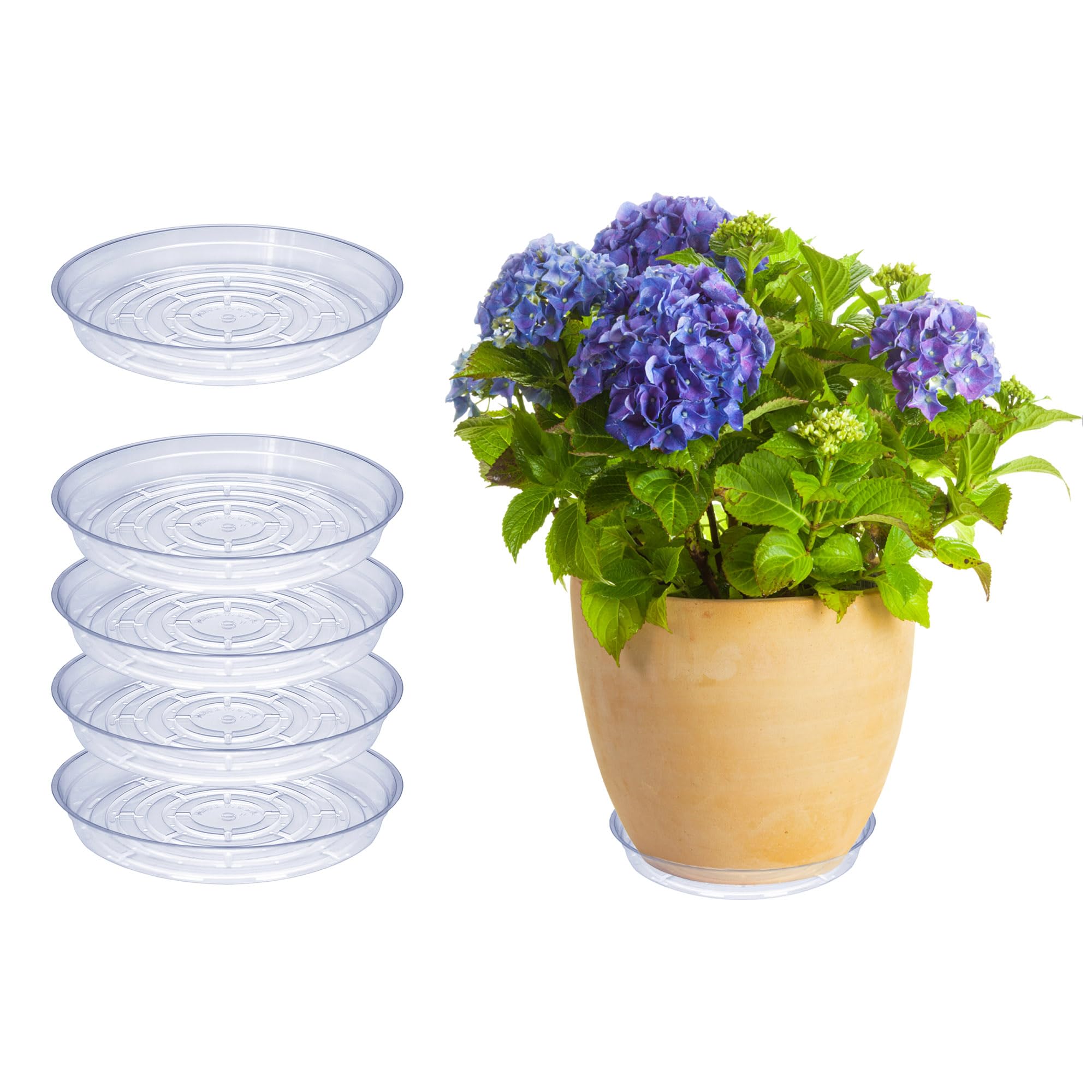 Curtis Wagner Plastics Drip Pan Plant Saucers (5-Pack) - Clear, Round (Diameter: 9" Base, 10" Top, 1.25" Depth) Thin Plastic Planter to be Used as