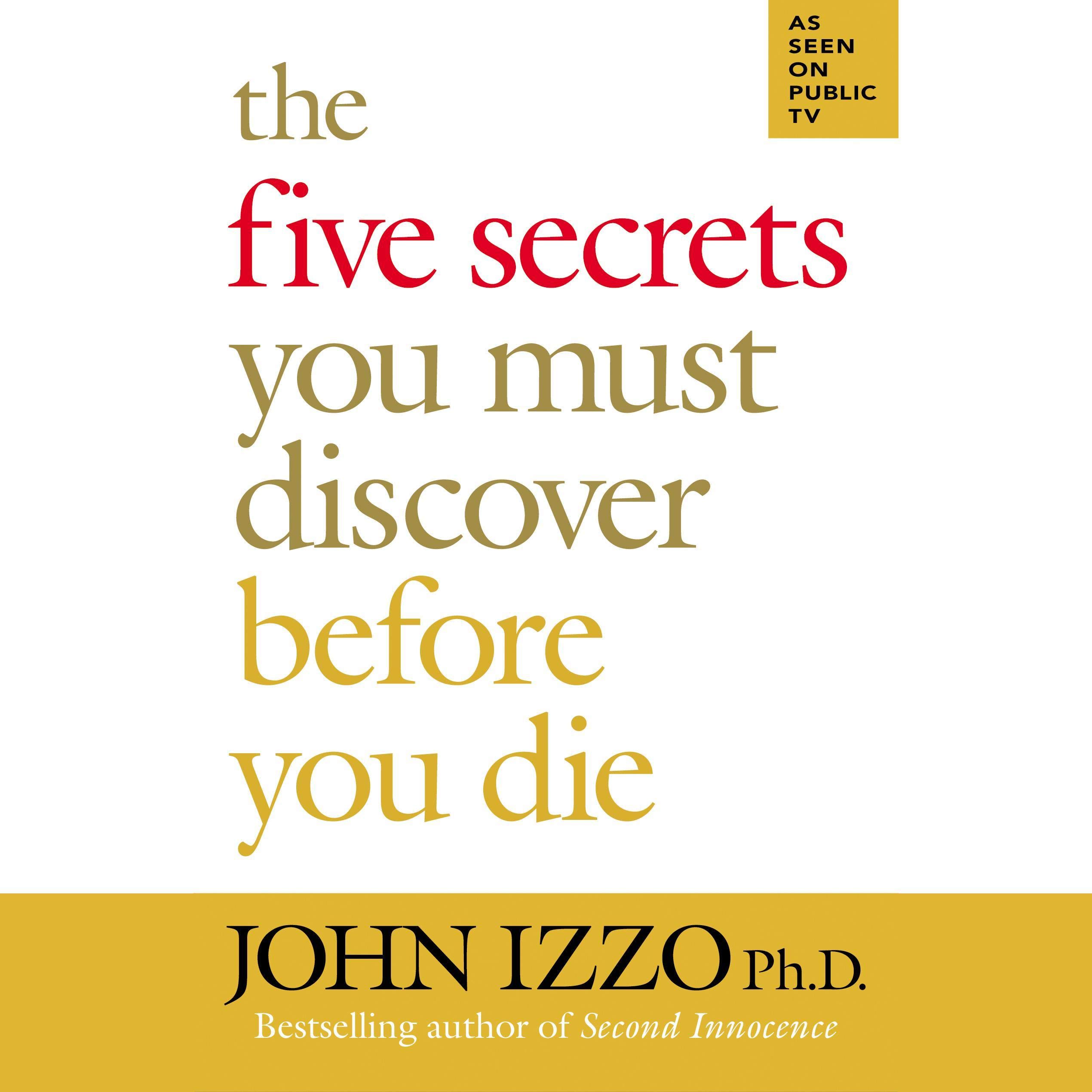 Cover art for The Five Secrets You Must Discover Before You Die