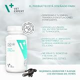 Ver la foto 3