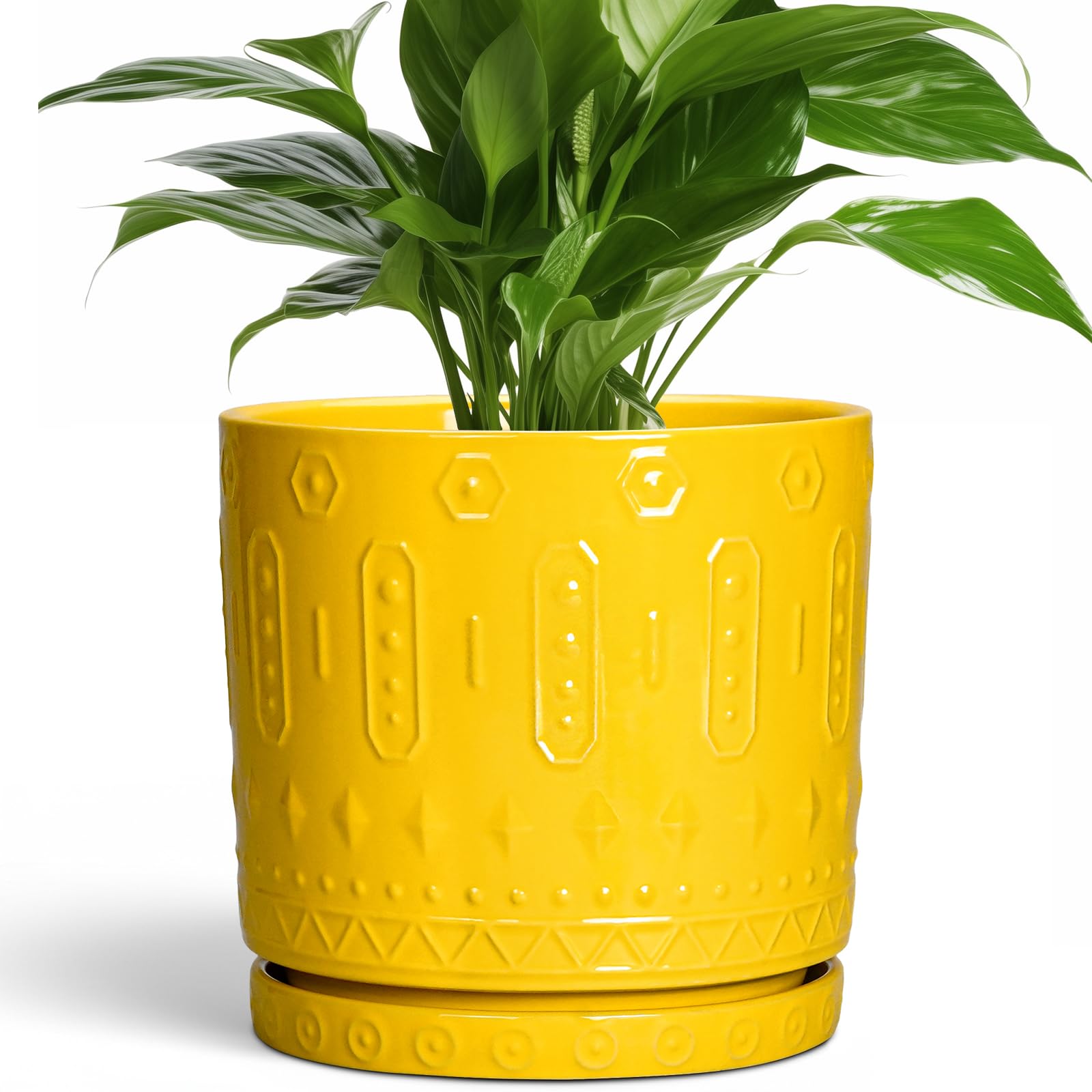 Eightpot 8 Inch Ceramic Planter Pot Plant Pot with Drainage Hole and Saucer, Round Large Flower Pot for Indoor Plants Outdoor Garden Planter Pot, Yellow