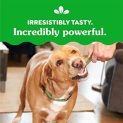 Miniatura 8 de Obsequios dentales para perros Greenies , Regular