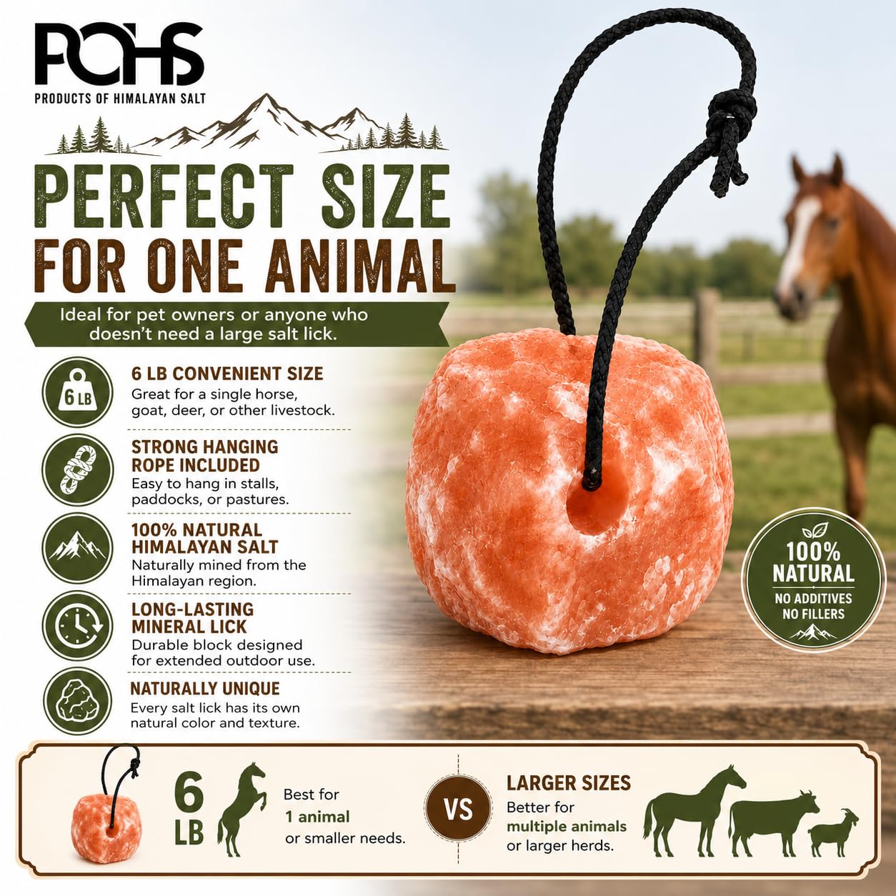 POHS Sale himalayano leccare su corda 2,7 kg ciascuno (confezione da 1) per cavalli e bestiame - Blocco di sale minerale rosa naturale - Leccare il sale per capre, cervi, bovini e bestiame - Blocco di