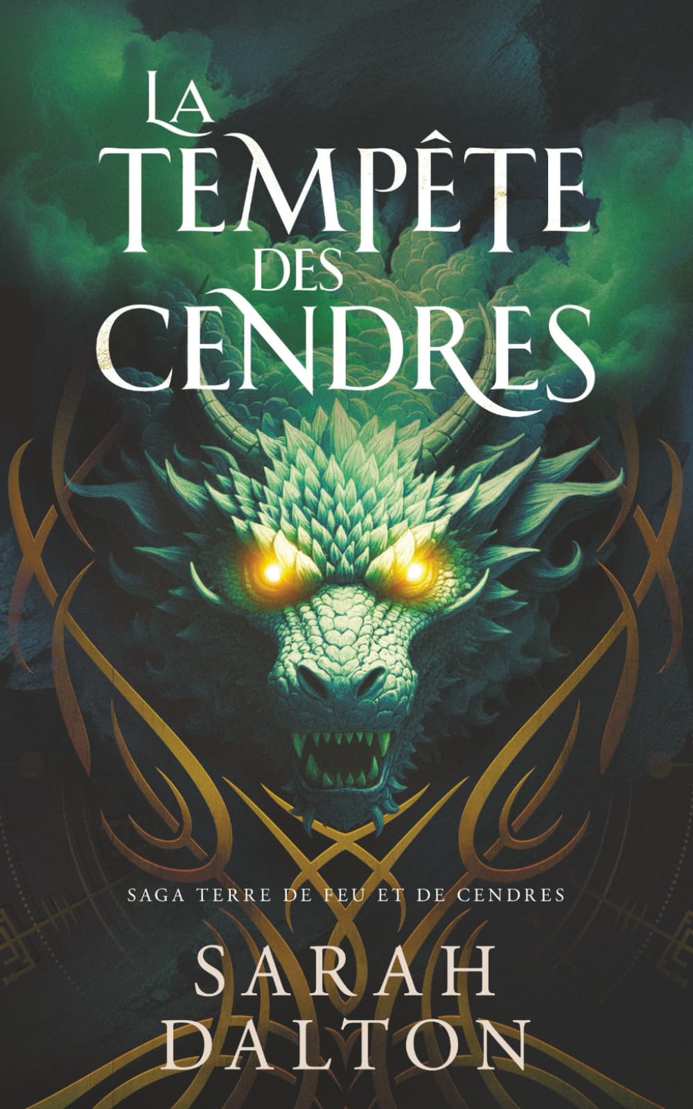 La Tempête des Cendres (Saga Terre de Feu et de Cendres)