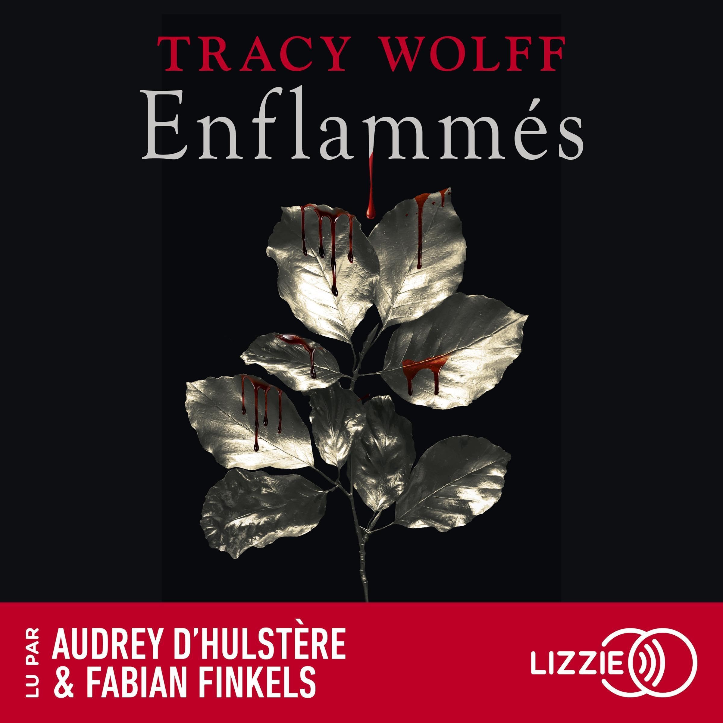 Cover art for Enflammés