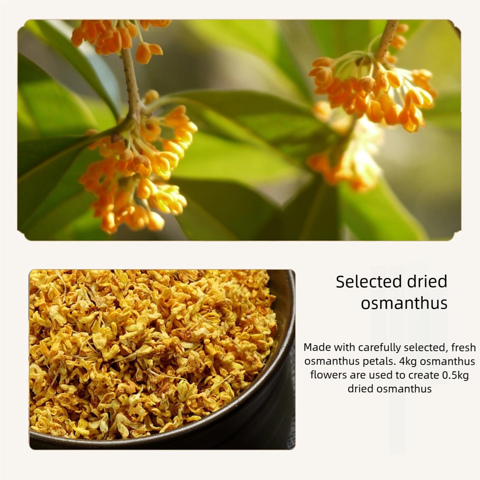 Lunaeturn Gâteau à la Fleur d’Osmanthus– 30g*6 Pièces | Douceur Chinoise Traditionnelle Texture Moelleuse et Saveur Florale Délicate | Idéal pour le Thé ou comme Dessert