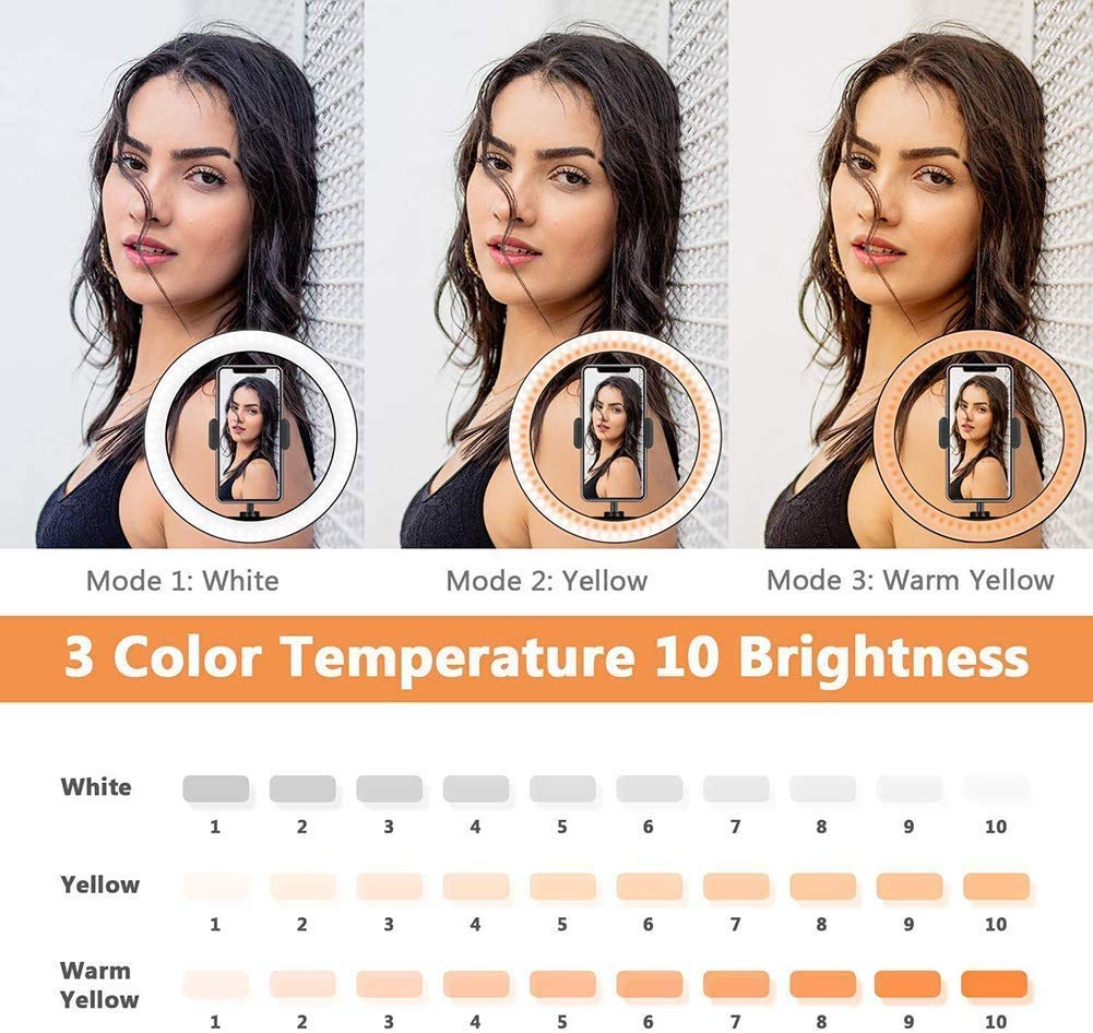 WLP Anello Luminoso da 10 Pollici. Porta Cellulare con Staffa, con 3 modalità di Illuminazione, 10 Livelli di luminosità e Anello Luminoso per Il Trucco da Tavolo dimmerabile