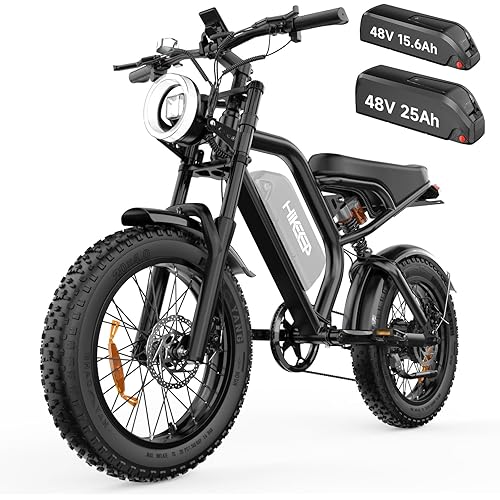 Electric Bike for Adults - 20 x 4 Inch Fat Tire, 750W/Peak 1500W Motor, 48V15AH Detachable Battery, 4 Riding Modes Electric Dirt Bike, 7 Speed Electric Motorcycle, 28MPH UL 2849 Certified
