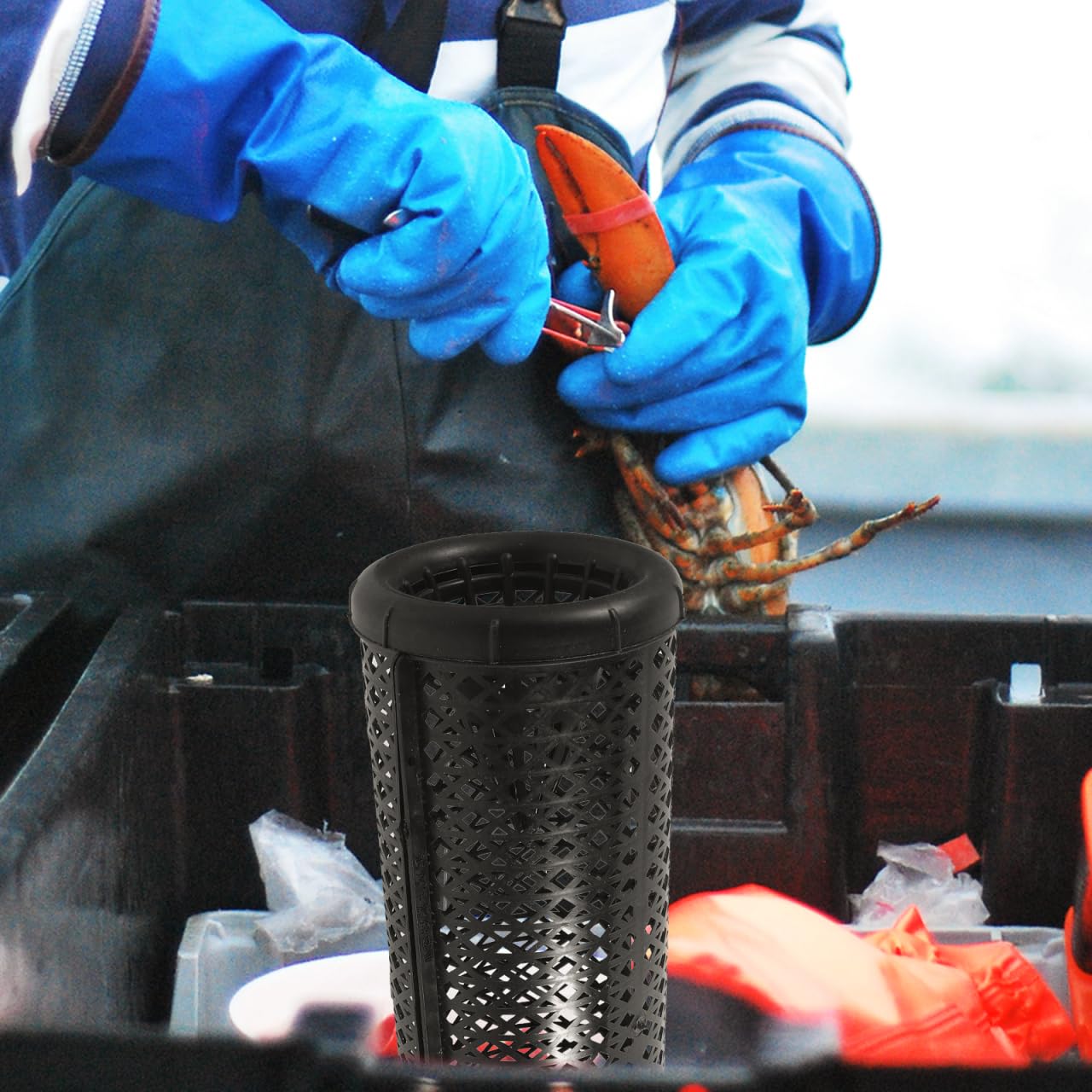Sosoport Tragbare Wiederverwendbare Fischreuse Für Aal Krebs Mit Doppeltem Eingang Leichtes Netzmaterial Für Süß- Und Salzwasser Angeln 14.8X5.5X4.5 Zoll