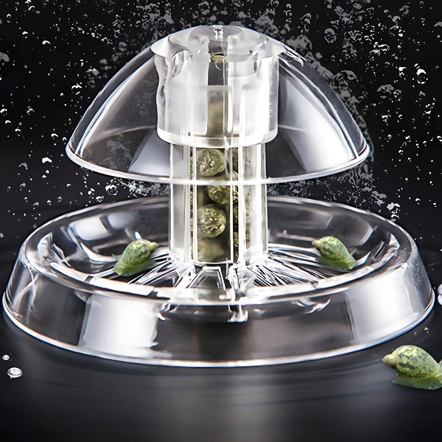VAYINATO® Transparent Clear Planted Aquarium Fish Tank Snail Trapper Snail Catching Trap Box | Safe and Doesnt Harm Other Aquatic Species | Easy to Use by Petzlifeworld (B0CVRZZJVB) Amazon Price History, Amazon Price Tracker