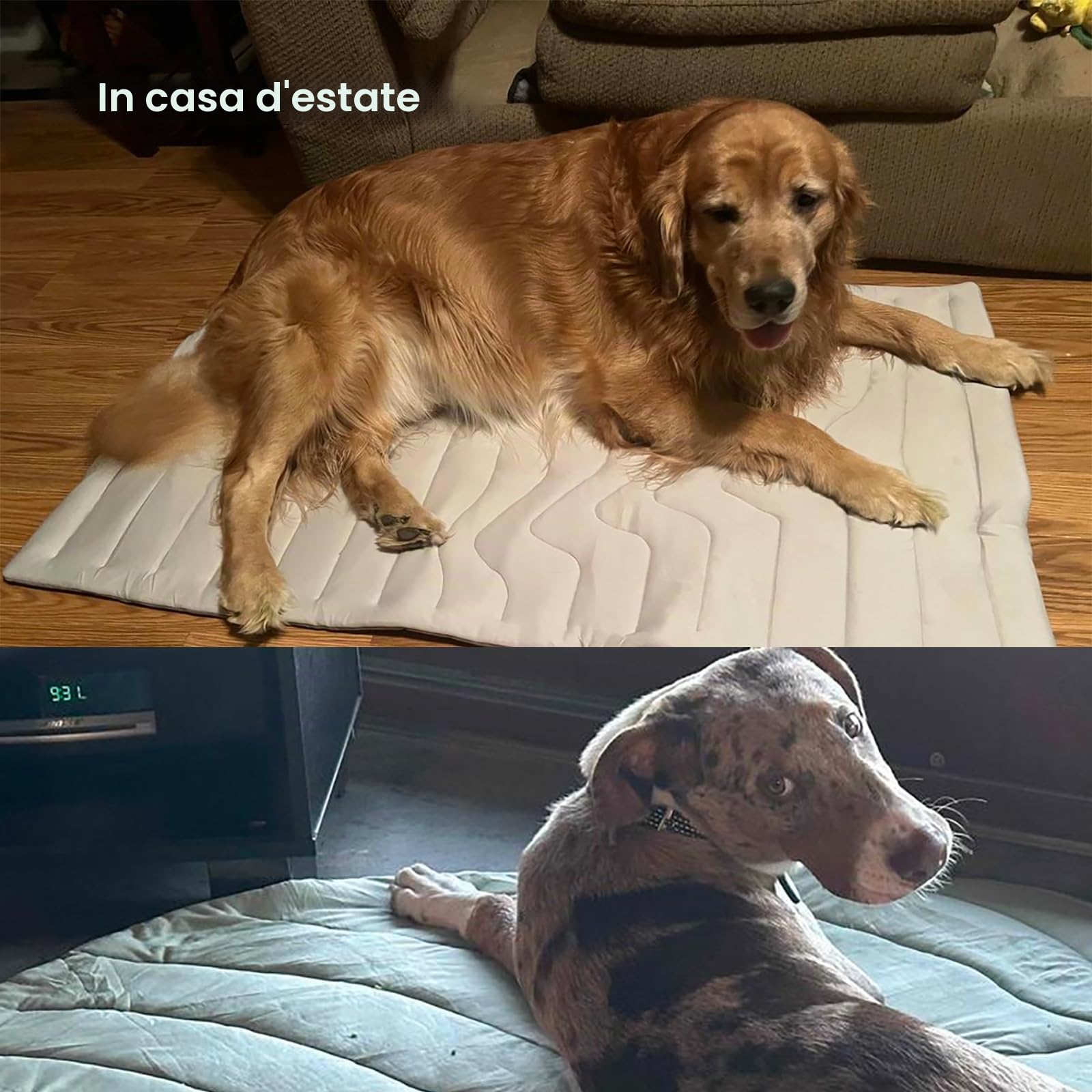 Auto‑Rinfrescante Pet Cooling Mat per Cani Gatti,Tappetino Refrigerante Innovativo,Tappetino Reversibile Lavabile,Senza Ghiaccio né Elettricità,Arc‑Chill Tecnologia, Antiscivolo (Verde, 150×102cm)
