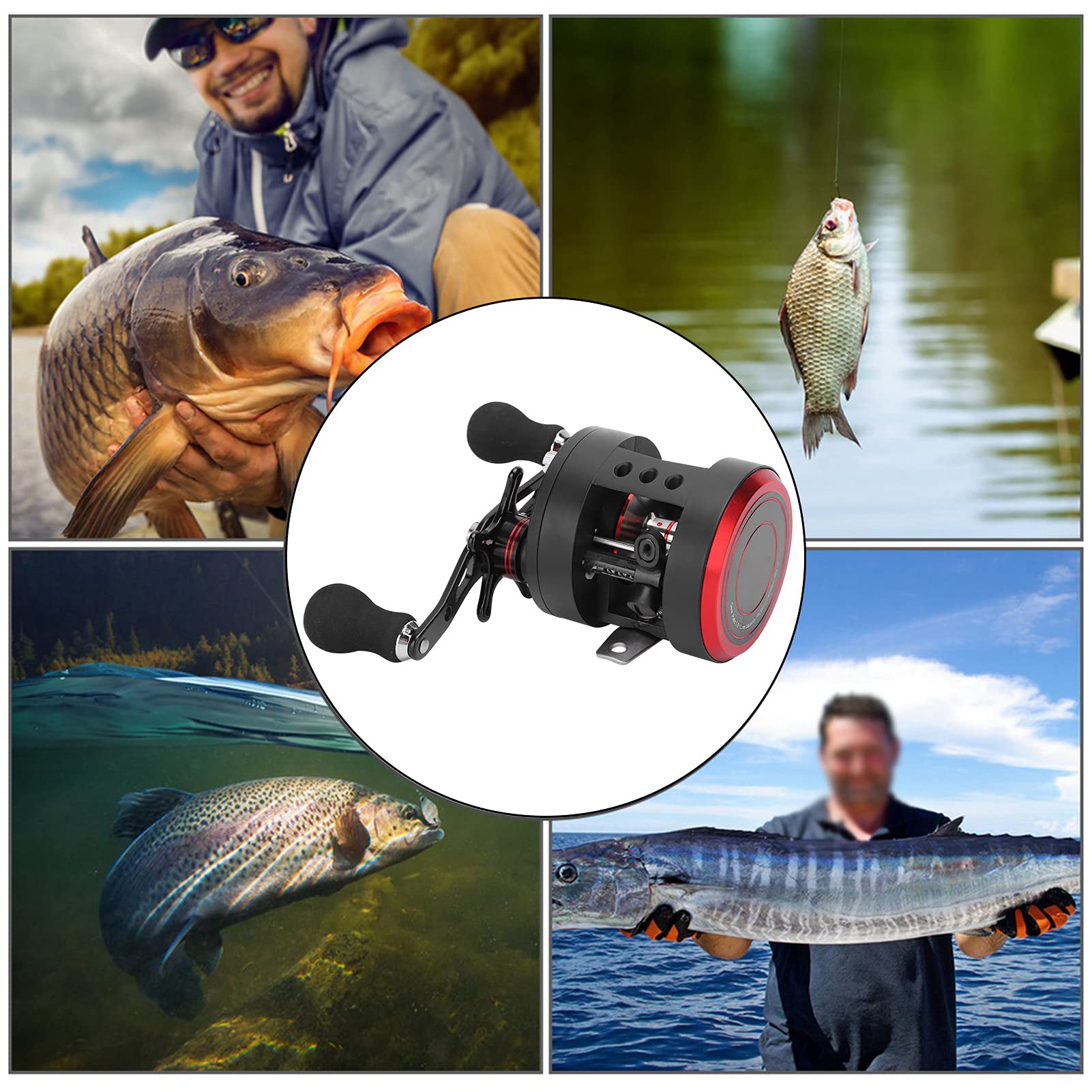 POENVFPO Mulinello da Pesca, Rapporto di Trasmissione 5.6:1 17 Plus 1 Mulinello da Pesca Baitcasting per Pesca in Acqua Dolce e Salata