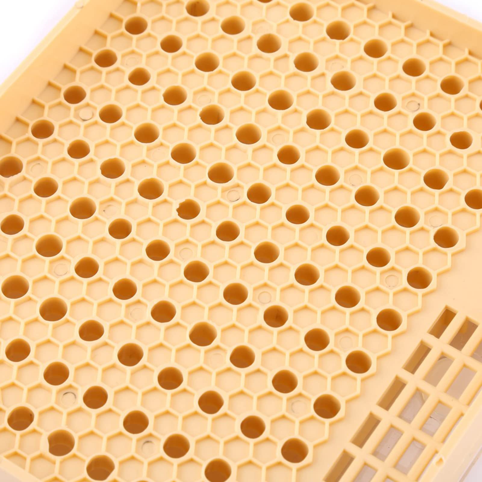 Nicot Queen Elevage Cell Bar Blocks Plastique Apiculture Queen Elevage Cups Box Cell Bar Blocks Hair Roller Cages Bee Keeper Equipment
