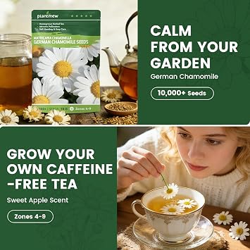German Chamomile Seeds