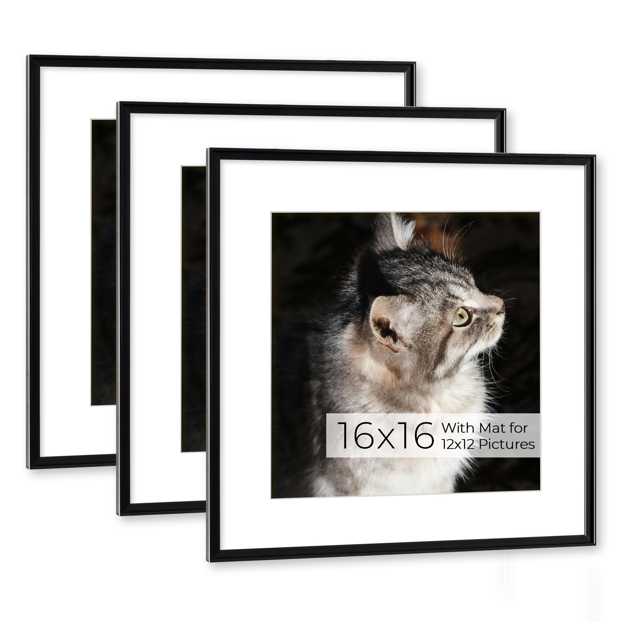 RICHFOCUS Aluminum Picture Frame - 16x20 Gold Metal Frame with Mat for 11x14 Photo, Floating Frame with Tempered Glass - Poster Frame Wall Hook Included for Gallery Wall