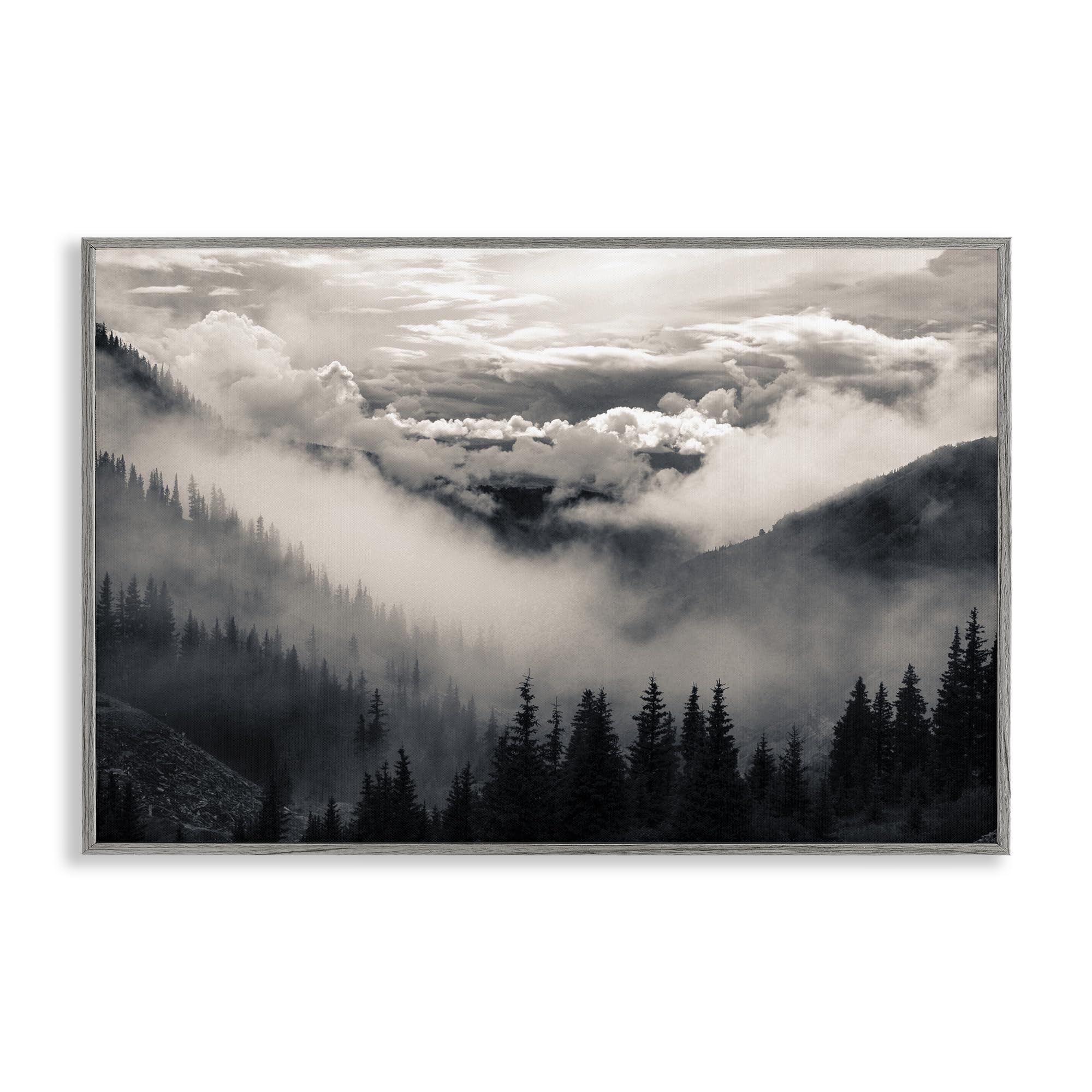 Cadre Giclée Gris Decent Exposures Stupell : Déco Salon Moderne