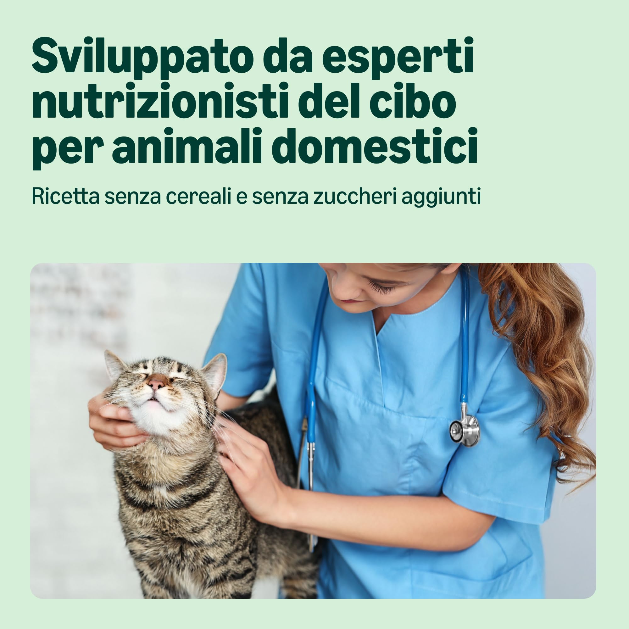 by Amazon Cibo umido per gatti senza cereali, in barattolo, paté di manzo, 12 x 400 g