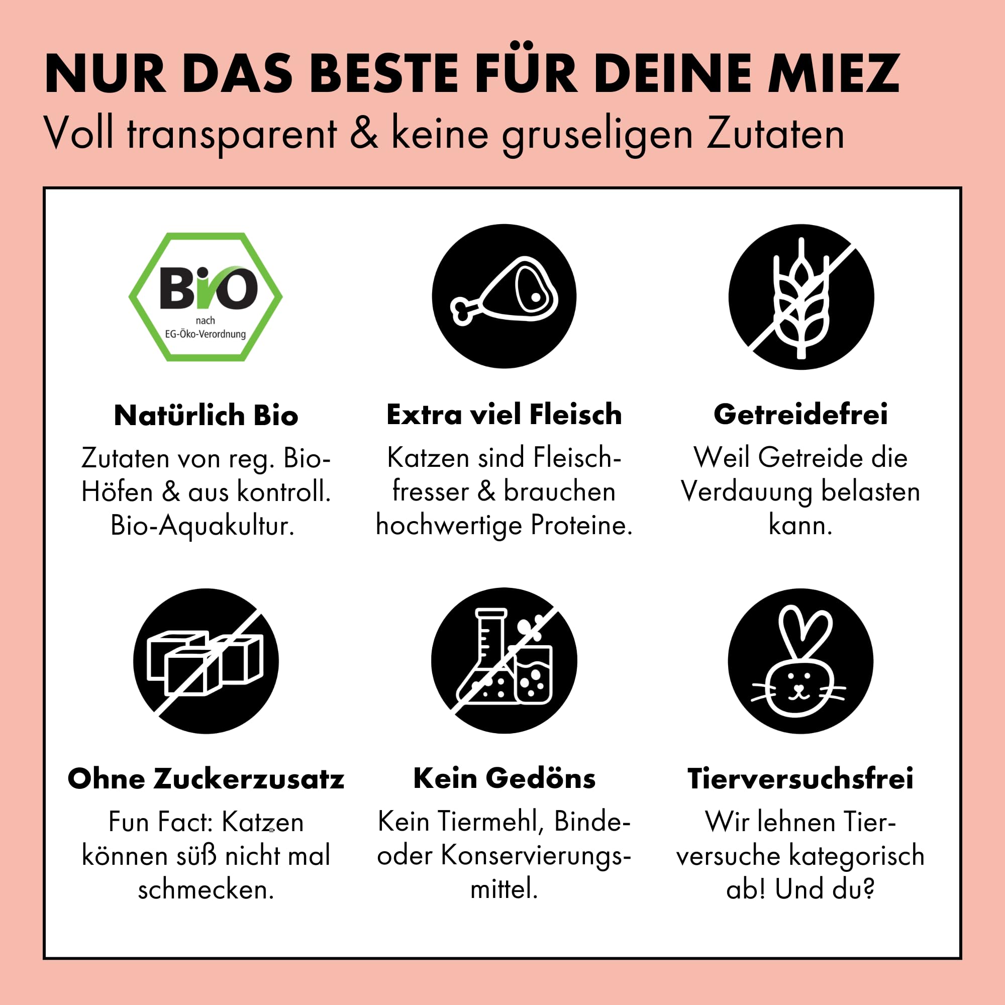 STRAYZ Bio Katzenfutter Nass – Huhn & Zucchini | 12x400g Dose | Nassfutter mit 95% Bio-Fleisch, getreidefrei & ohne Zucker, Monoprotein, ohne Bindemittel