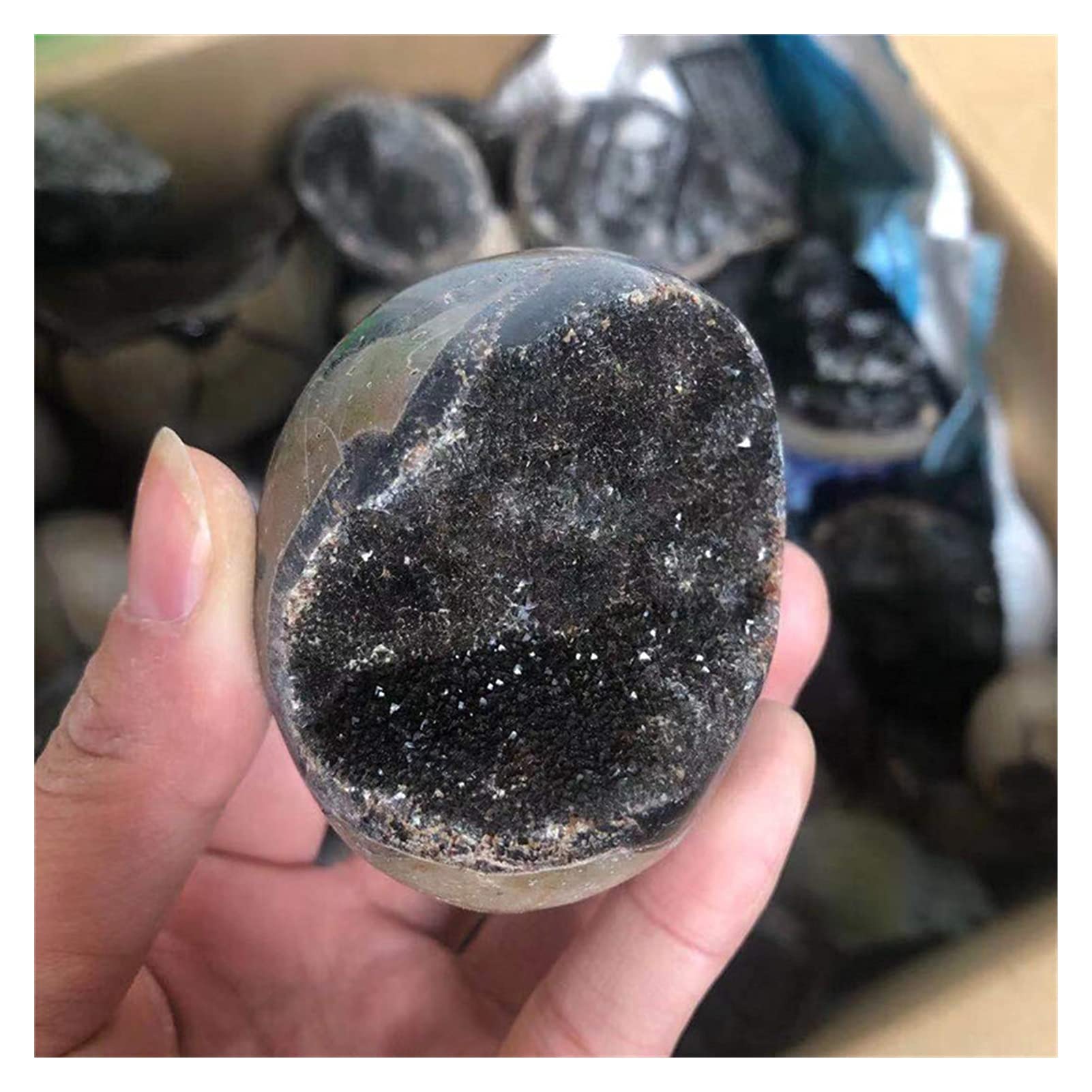 Décoration fossile unique en cristal naturel, le cadeau idéal