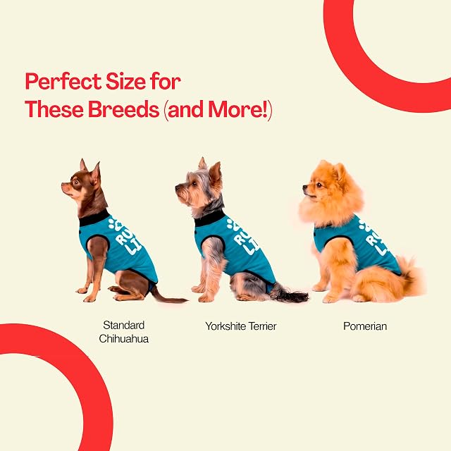 Foto 8 de 8 de BellyGuard - Traje de recuperación para Perros, Mameluco para Perros después de la cirugía para Perros machos…