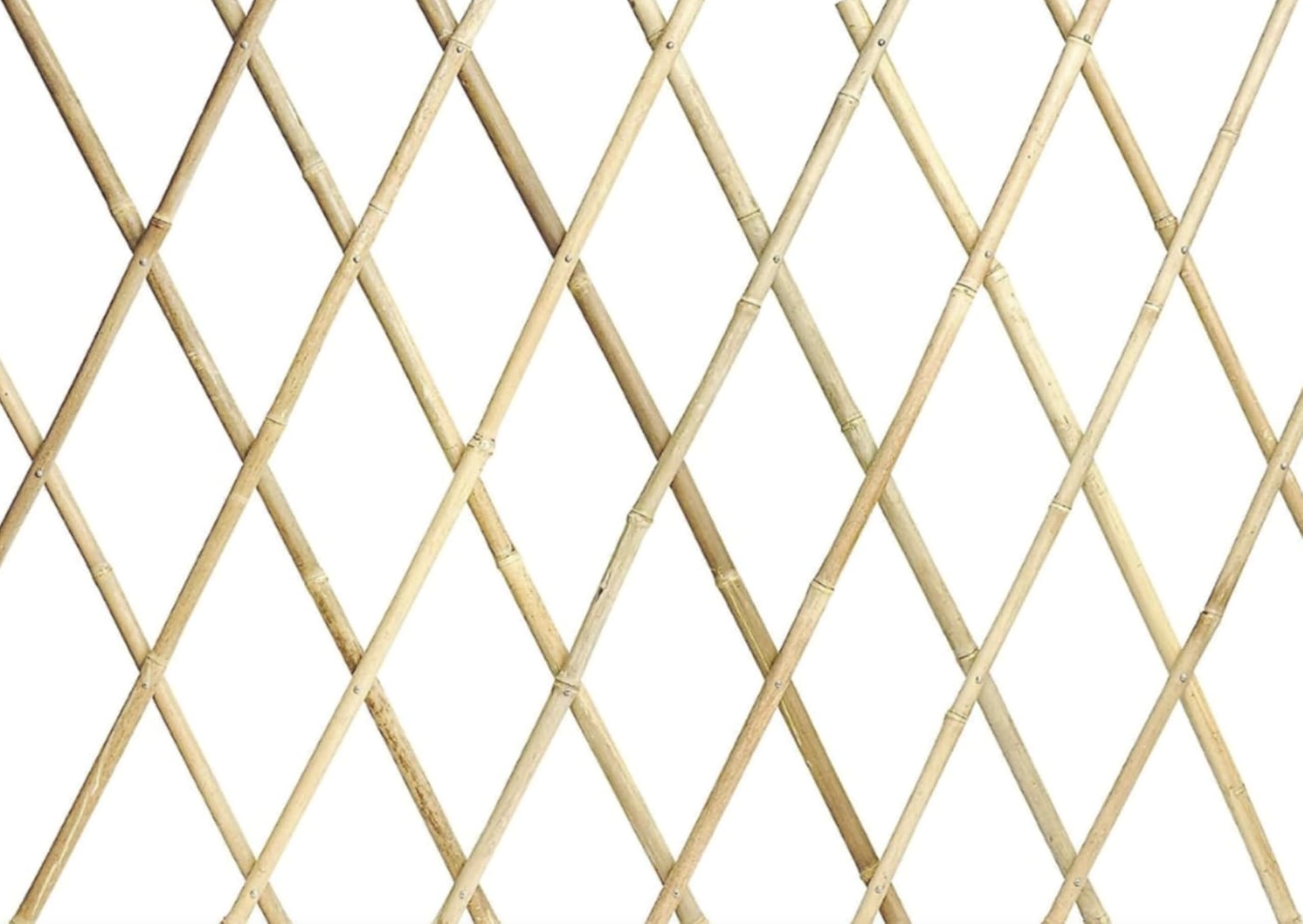 NG NICCOLAI TRALICCIO ESTENSIBILE BAMBOO VARIE MISURE (200x200 CM)
