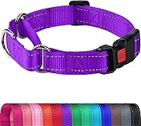 Vista 18 de Joytale Collar Martingale para perros, reflectante resistente para mayor seguridad, hebilla de liberación rápida, collares de nailon ajustables