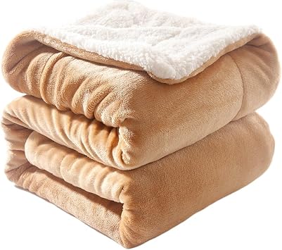 Throw Blanket for Bed, Extra Warm and Heavy Thick Blankets for Winter, Super Soft Plush Blanket,Fuzzy Flannel Throw Blanket for Sofa All SeasonsBeige,150x200cm/59x78in