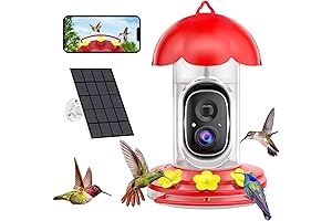 Smart Hummingbird Feeder with Camera Solar — Witness Avian Wonders!