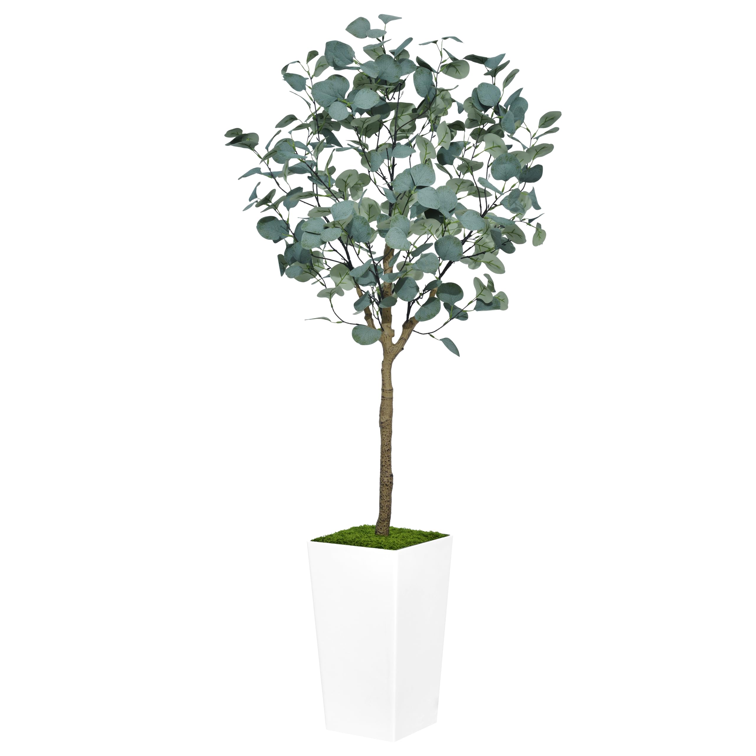 ASTIDY Eucalyptus Tree Artificial 5FT - Faux Silver Dollar Leaves Tree with White Tall Planter - Fake Eucalyptus Floor Plant Potted - Artificial Silk Tree for Home Office Living Room Decor Indoor