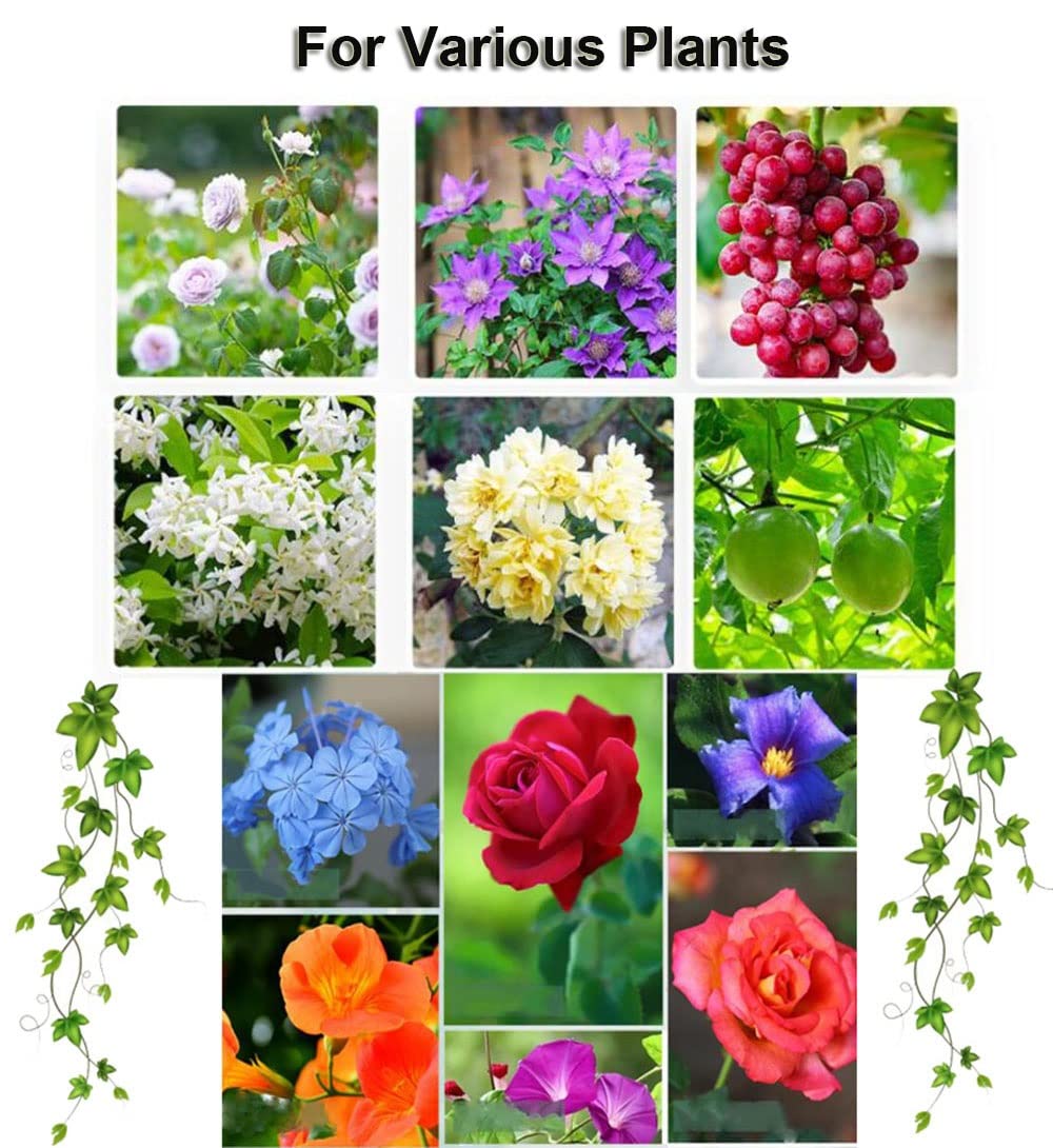 Gartenbogen-Spalier aus PE-beschichtetem Metall, 240 cm hoch, rostfrei, verstellbar, DIY-Gartenlaube für Rosen und Kletterer, Schwarz/Weiß, ideal für Gartenparty-Dekoration und Wanddekoration