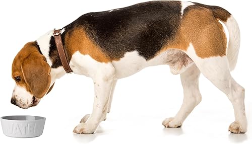 Miniatura 4 de PetRageous 14014 Back to Basics - Recipiente de agua para perros y microondas, apto para lavavajillas y microondas, 6 pulgadas de diámetro, 2.25