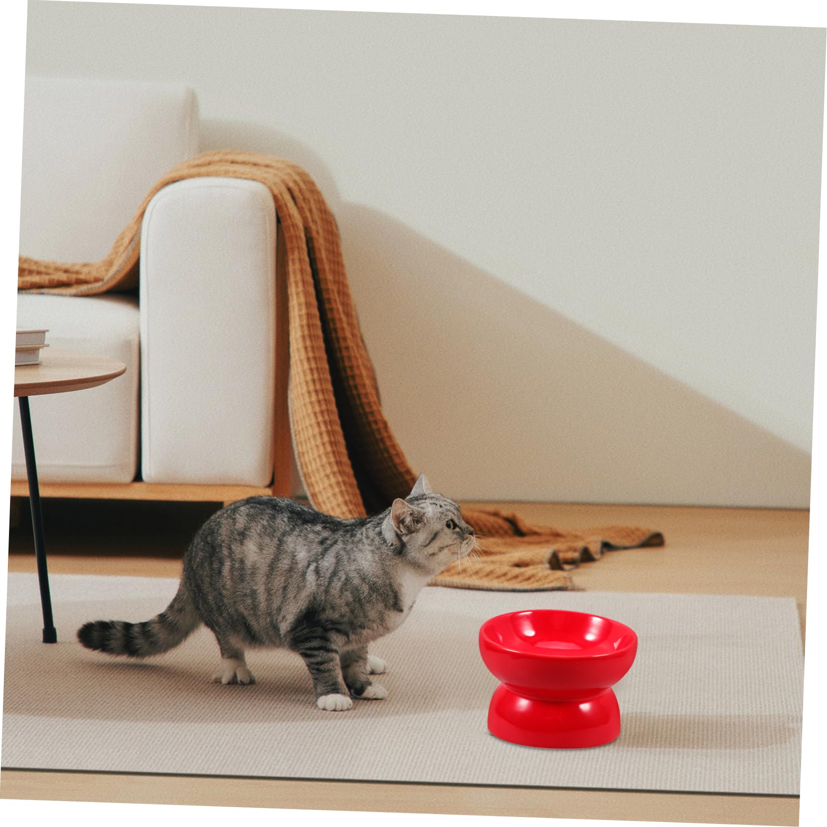 BESTonZON Keramik Futternapf mit Hohem Fuß Schräger Rand Rot Größe S – Erhöhte Fressschale für Hunde Welpen und Katzen Stabiler Haustiernapf für Unterwegs und Zuhause