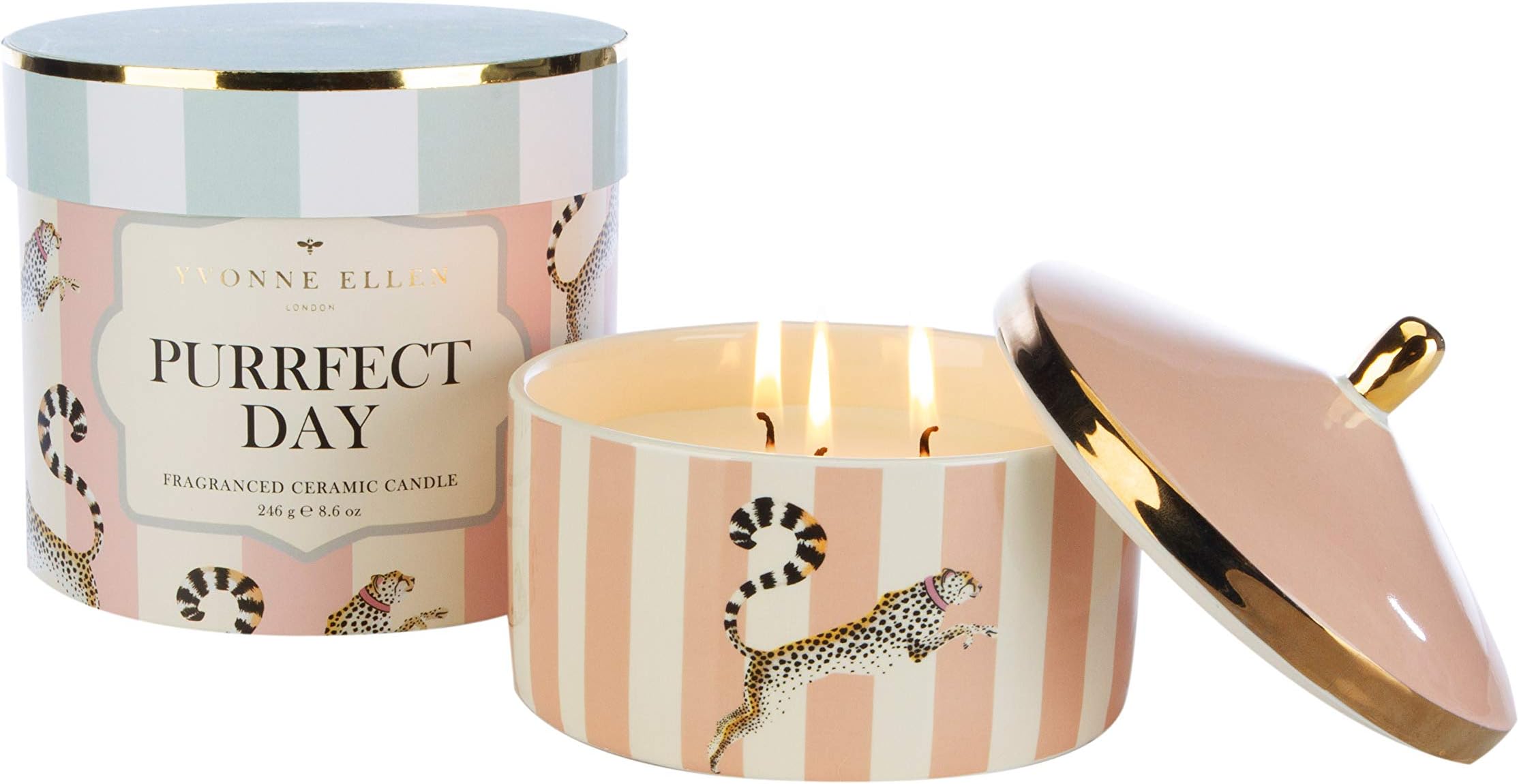Yvonne Ellen Purrfect Day Multi Wick Candle