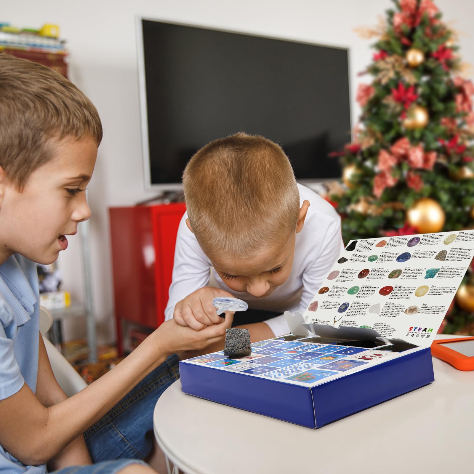 Calendario De Adviento 2025 De Vida Marina - 24 Adornos De Cristal Marino Para Decoración Navideña