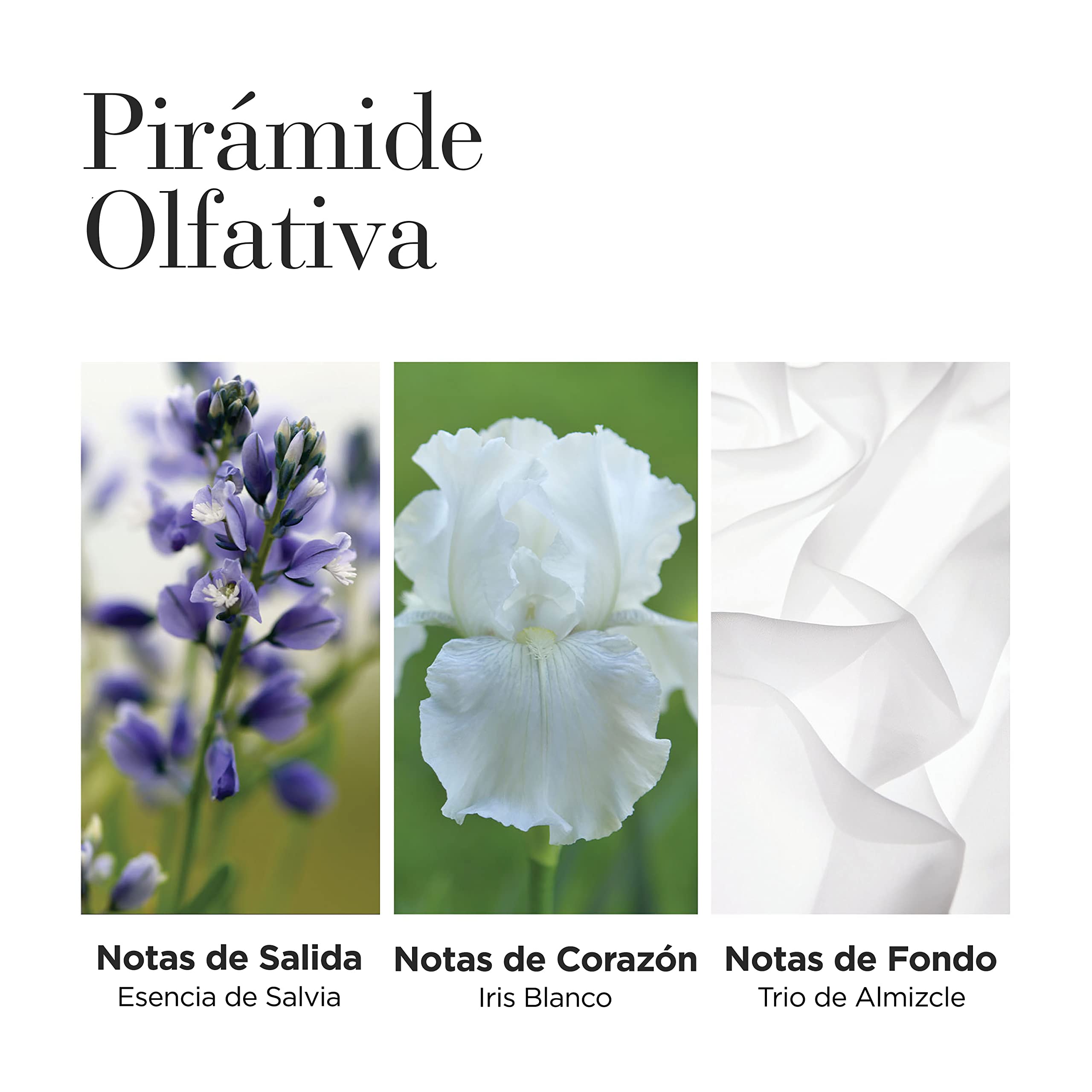 Elizabeth Arden White Tea, Set de Perfume de Mujer (100ml) + Crema Hidratante Corporal (400ml) + Crema para Manos y Uñas (30ml)