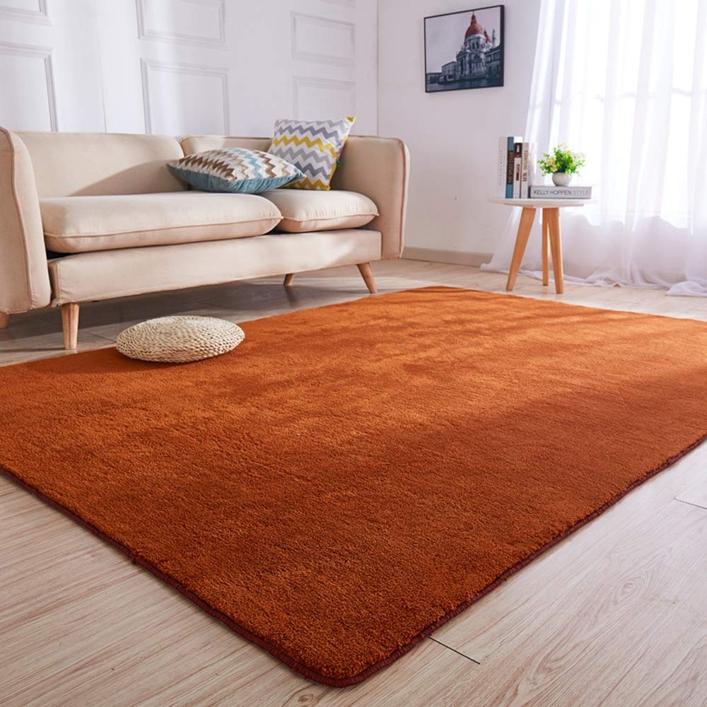 Tapis en peluche anti-froid pour sol de chambre et canapé salon