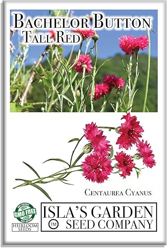 Semillas de botón de soltero rojo alto para plantar, más de 200 semillas por paquete, semillas de jardín de Isla (semillas de jardín de Isla),