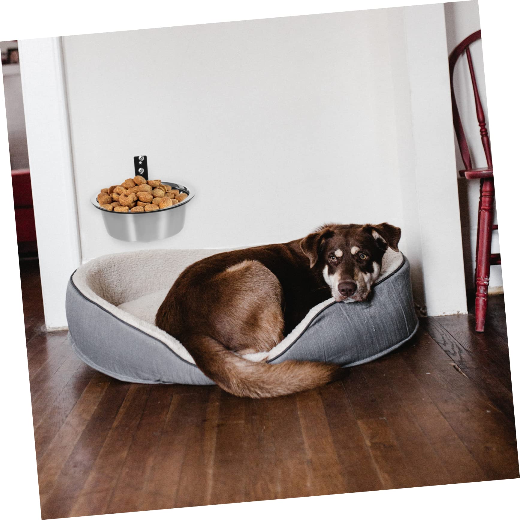 Pawque Cuencos Elevados Para Perros Con Cuenco De Alimentación Lenta