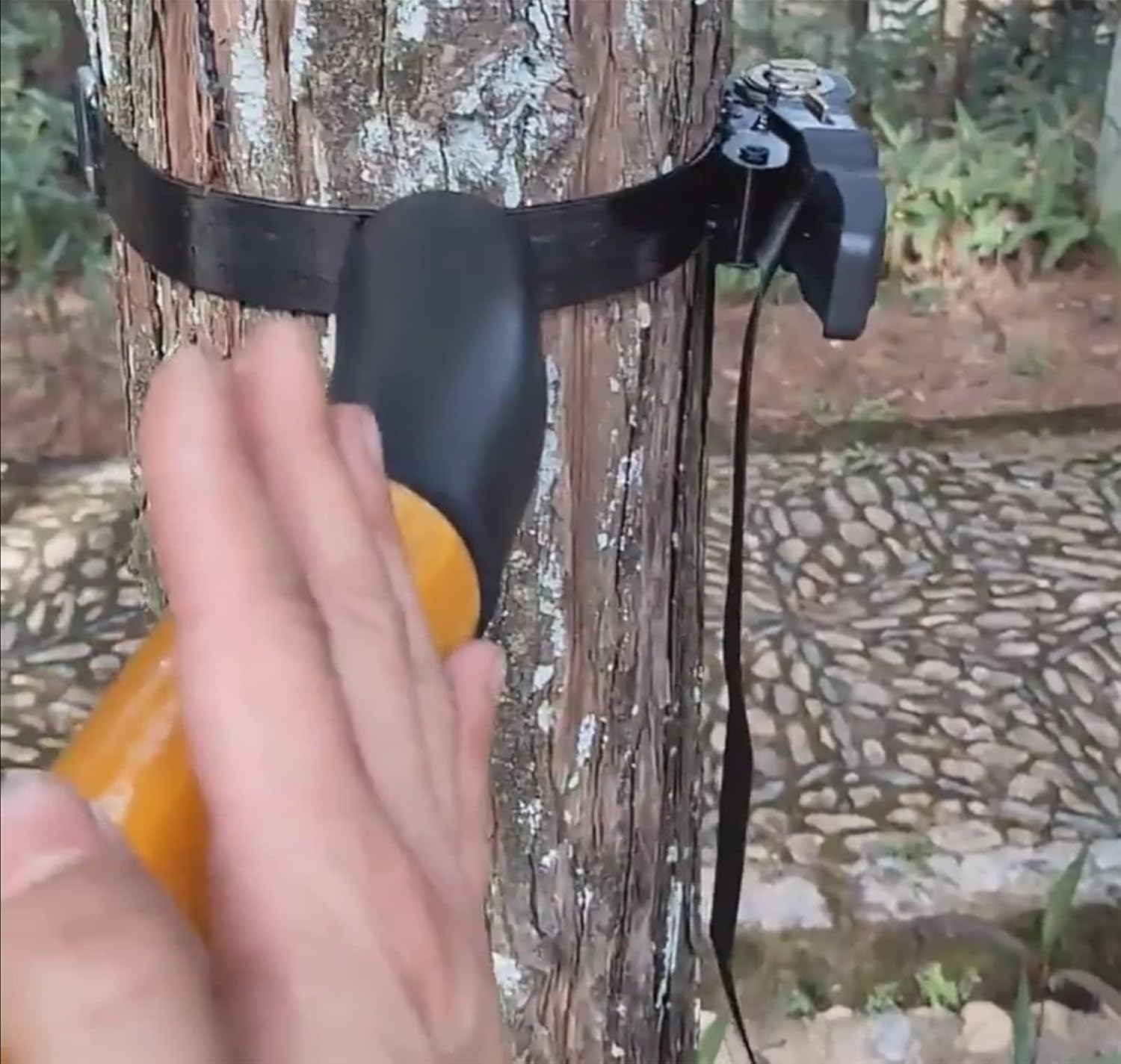 Wing Chun Wooden Dummy, Manichino for allenamento Wing Chun, manichino regolabile Wing Chun, manichini portatili for allenamento Wing Chun for anziani, pile di manichini a molla durevoli for arti marz