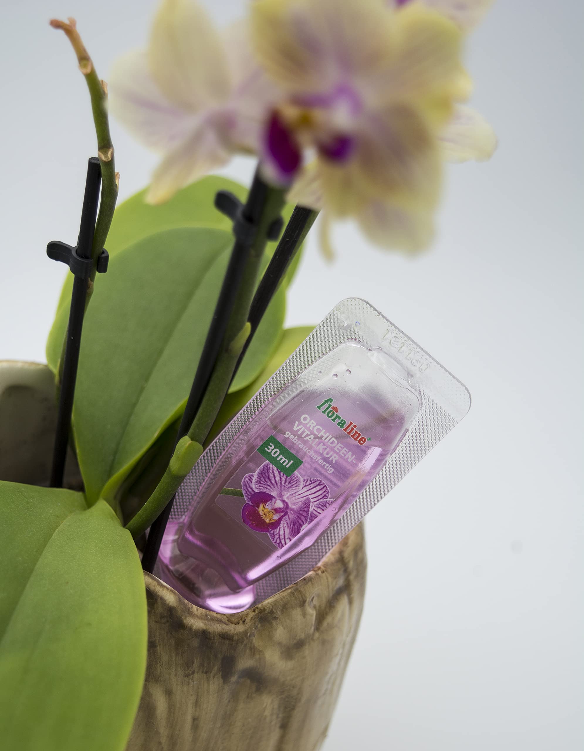 floraline® Kit de démarrage d'engrais pour orchidées : 20 bâtonnets, 3 cures vitales et 250 ml de spray vital | Pour des mois de magnifiques fleurs avec croissance et fleurs saines et brillantes |