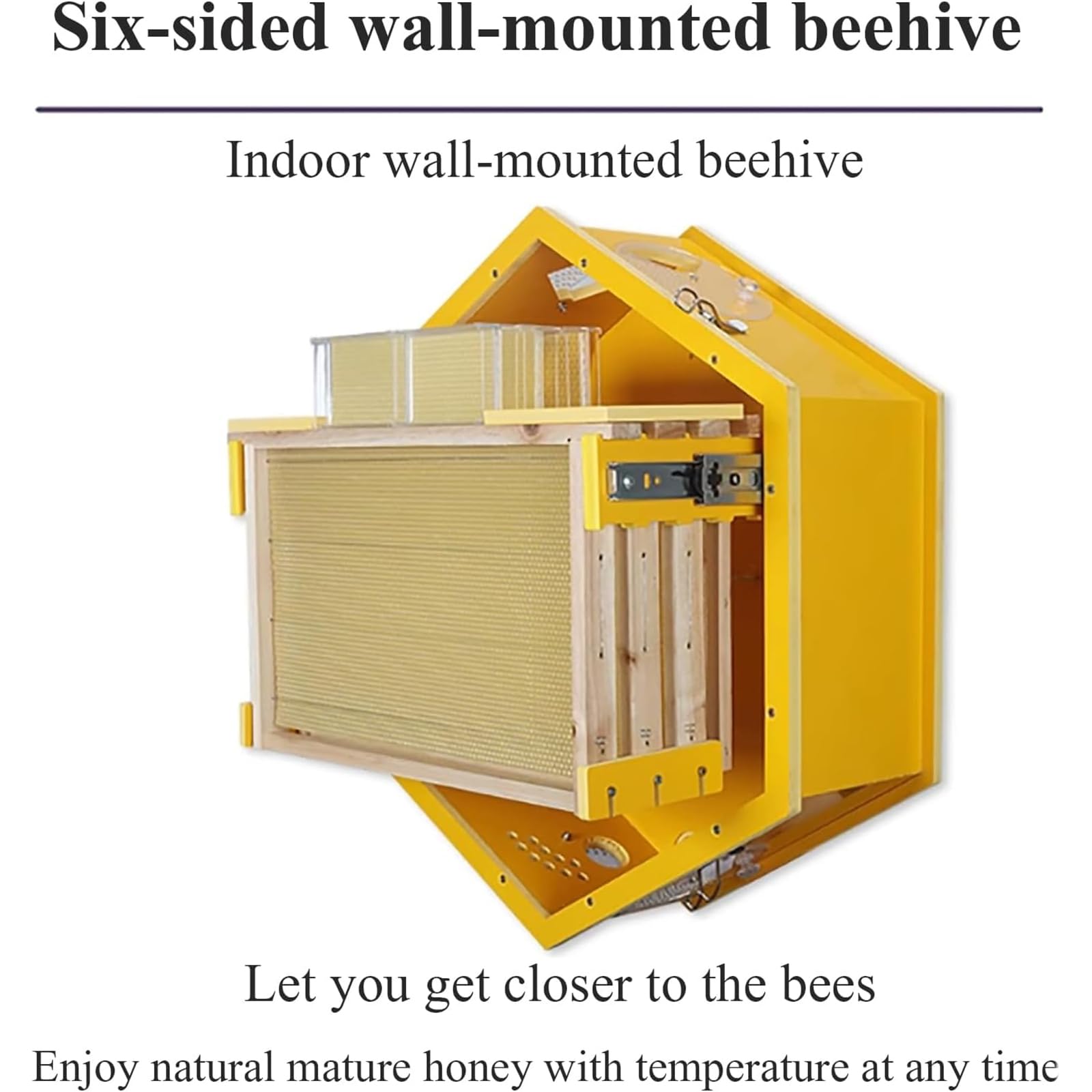 Bienenstock für den Innenbereich mit Auffangboxen zur Ernte von natürlichem Honig und einfacher Bienenkolonieverwaltung