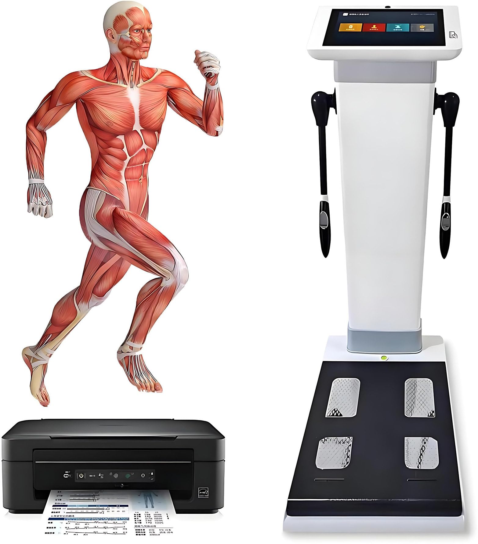 HD Touch Bioimpedance Body Analyzer Do Zarządzania Zdrowiem I Wagą, Cyfrowa Waga Medyczna, Wzrost, Waga, Monitor Składu Ciała, Obsługuje Wielu Użytkowników I Języki