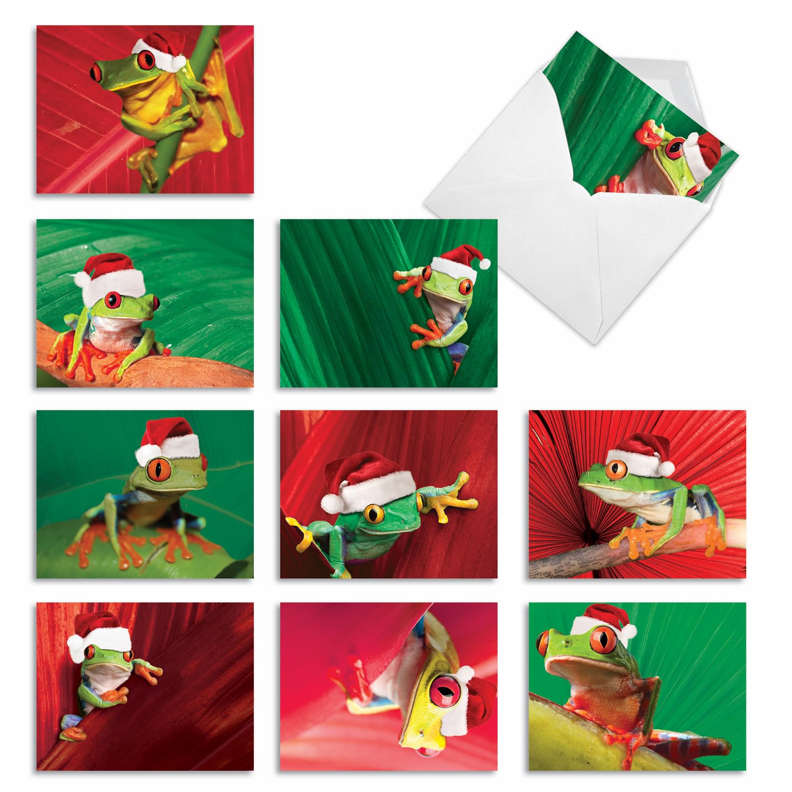 Best Card Co 10 Merry Christmas Boxed Cards Yule Frogs M1754XS
